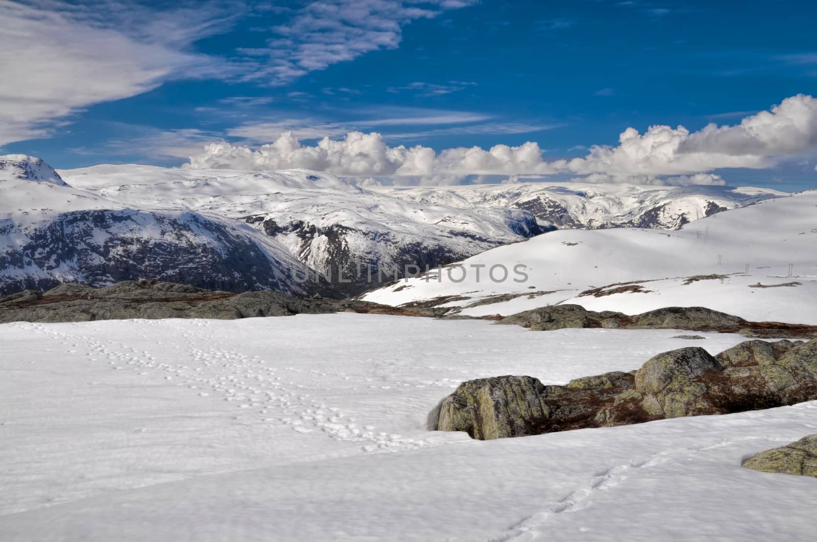 Mossy rocks peeking out of snow near Trolltunga, Norway