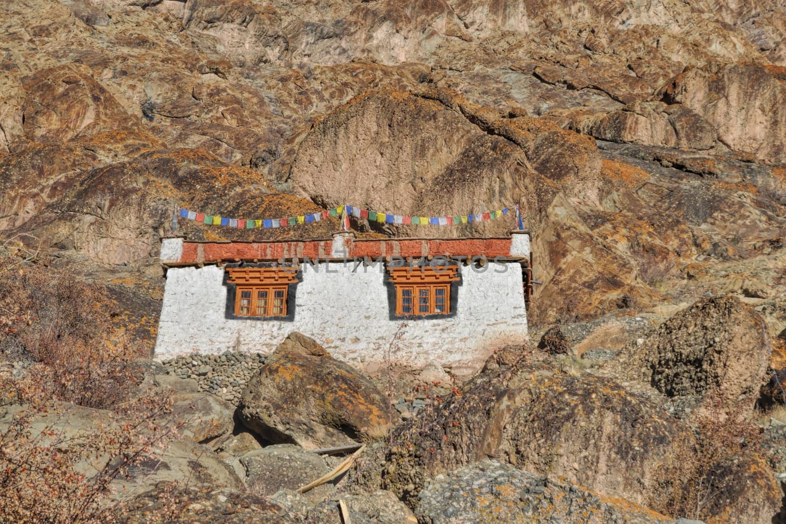 Part of Hemis Monastery built into a mountain