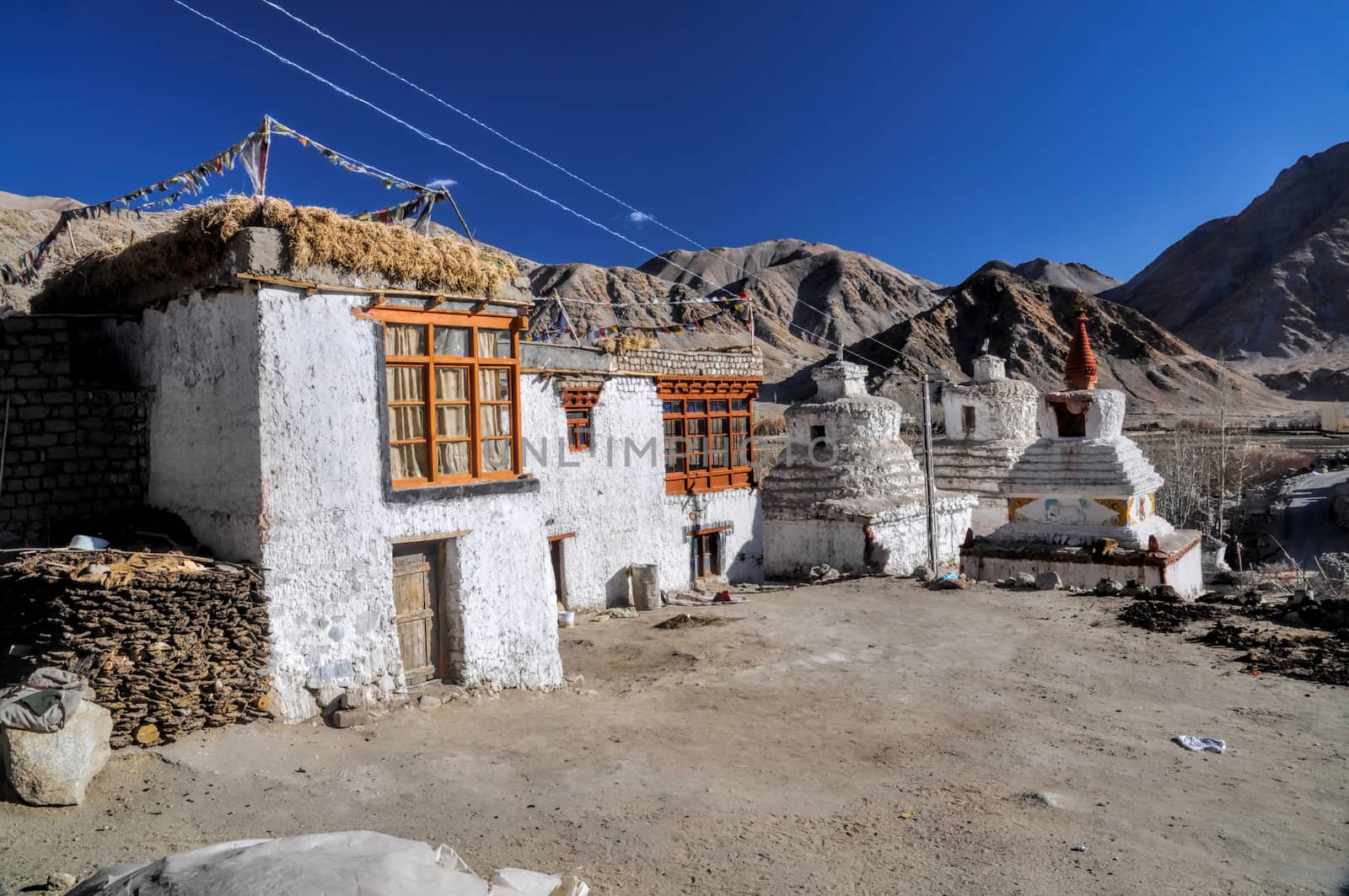 Traditional buildings in Chemrey monastery 