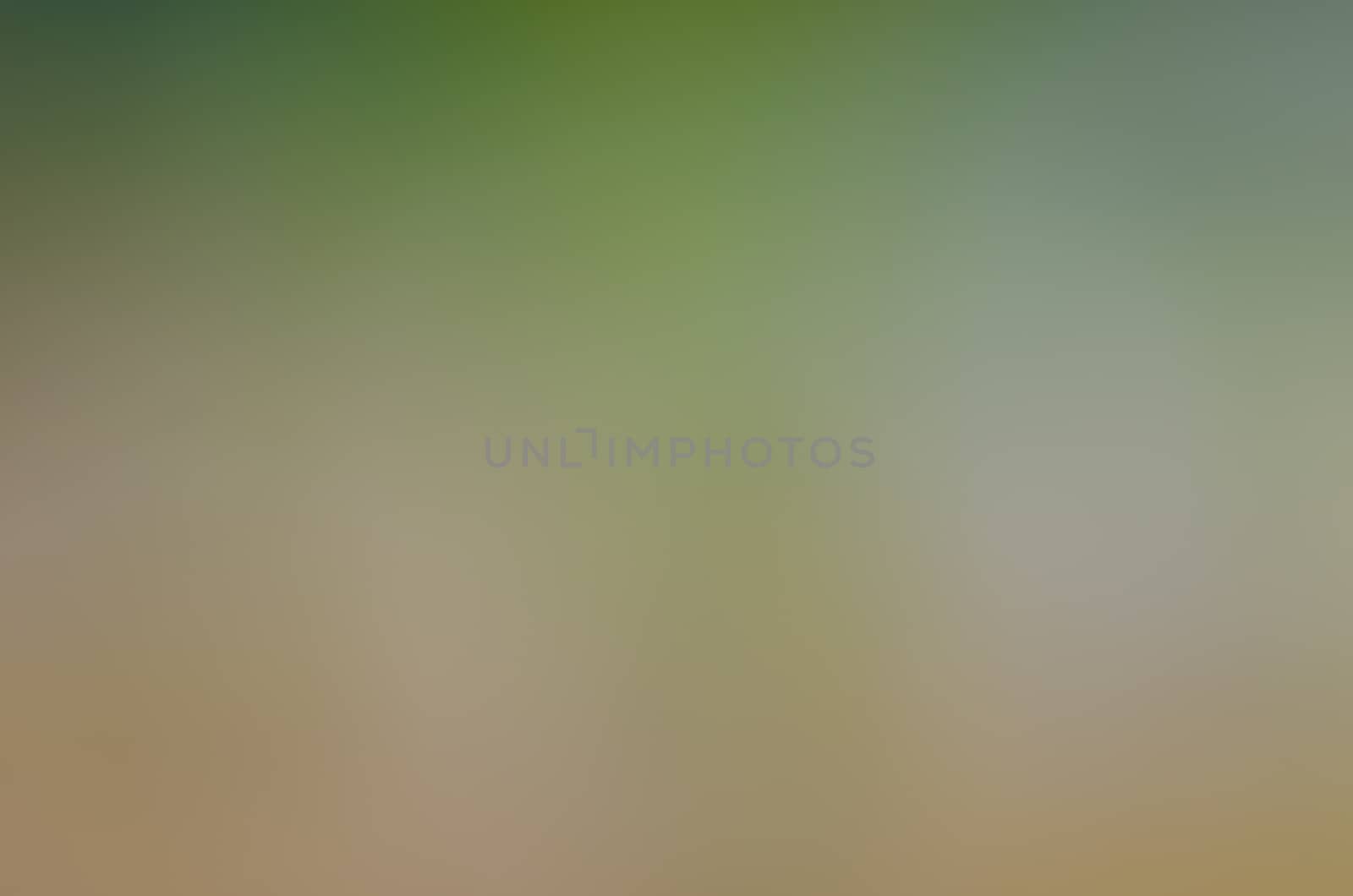 Defocused abstract texture background for your design