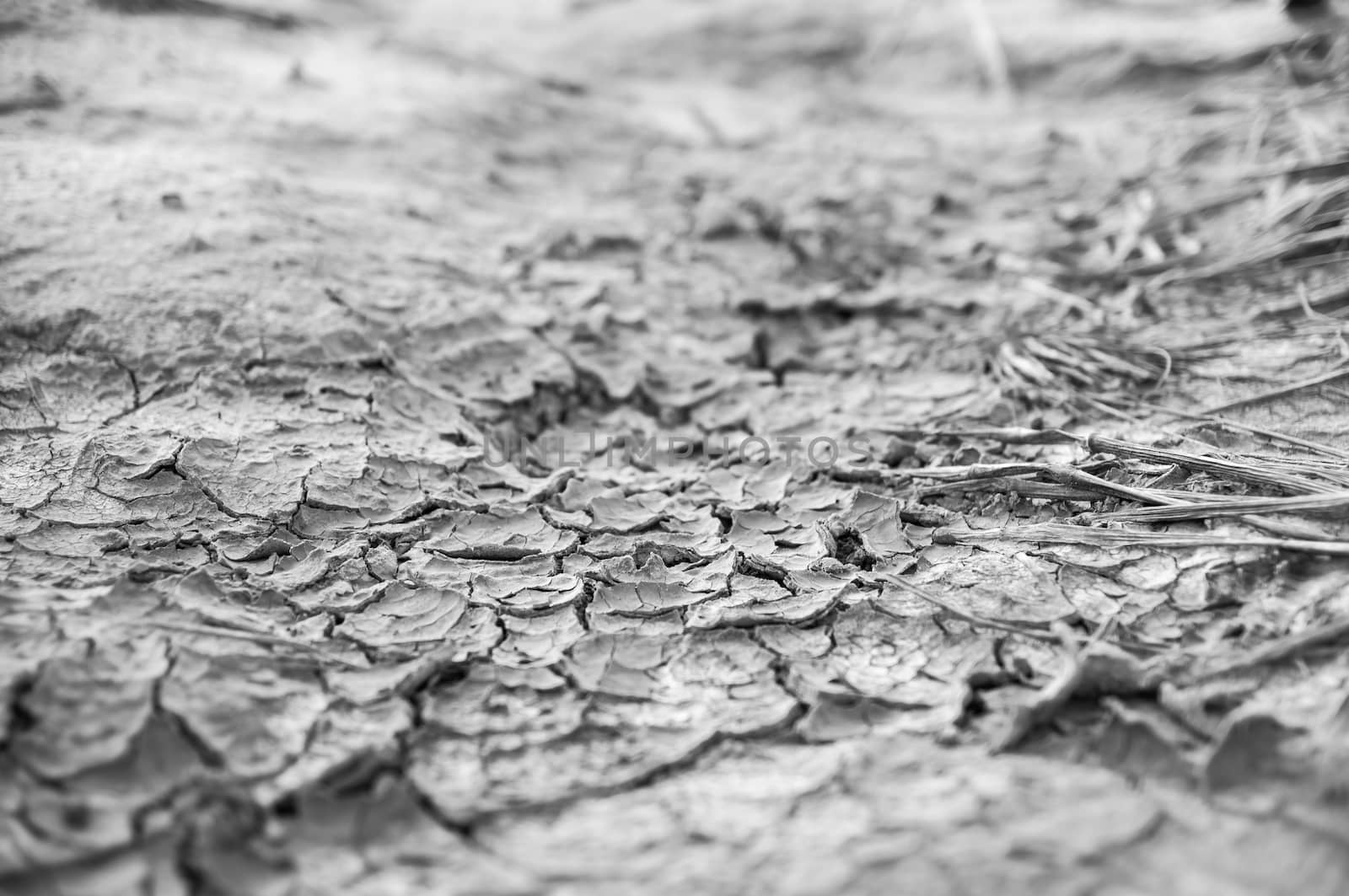 Dried earth texture background.