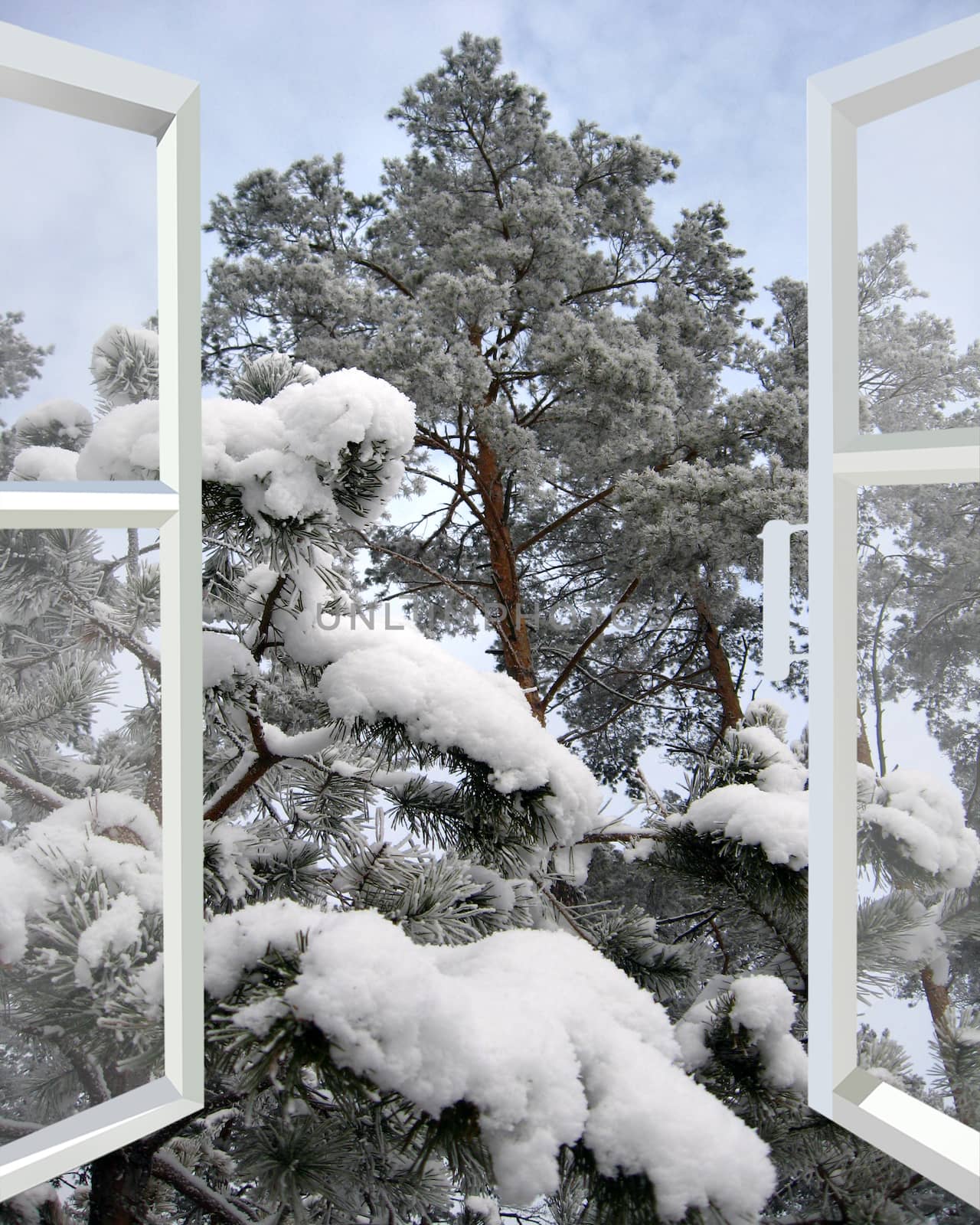 open window to snowy winter forest by alexmak