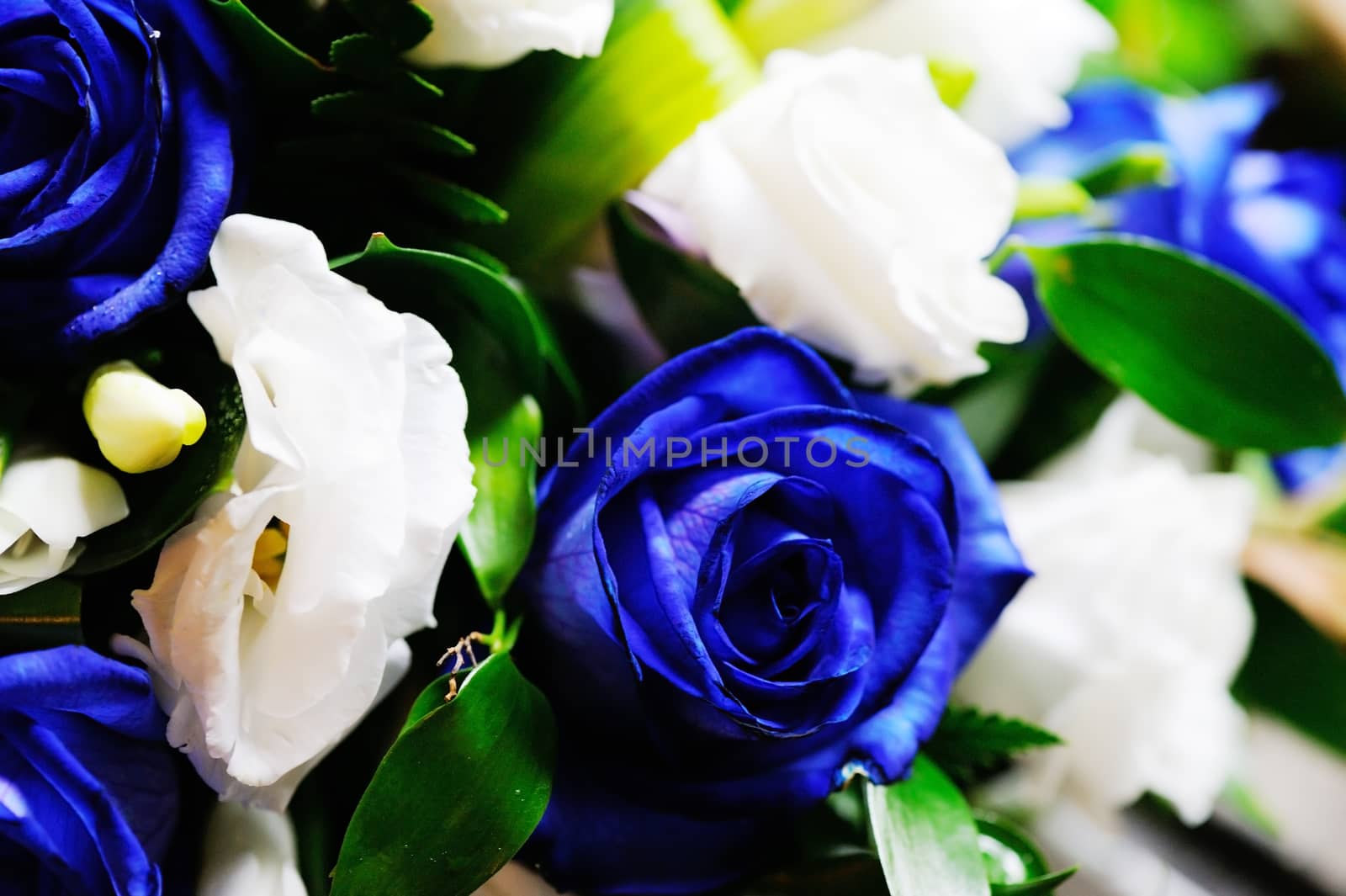 Brides bunch of blue roses on wedding day