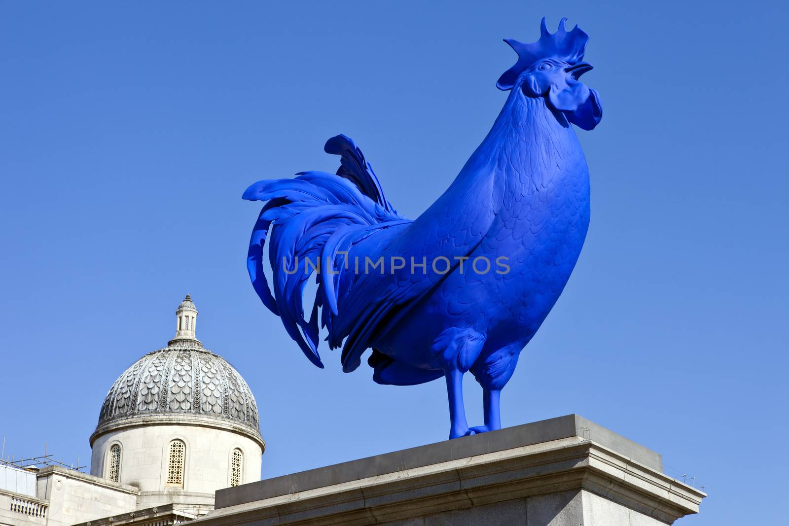 The Blue Cockerel on the fourth plinth in Trafalgar Square in London.
