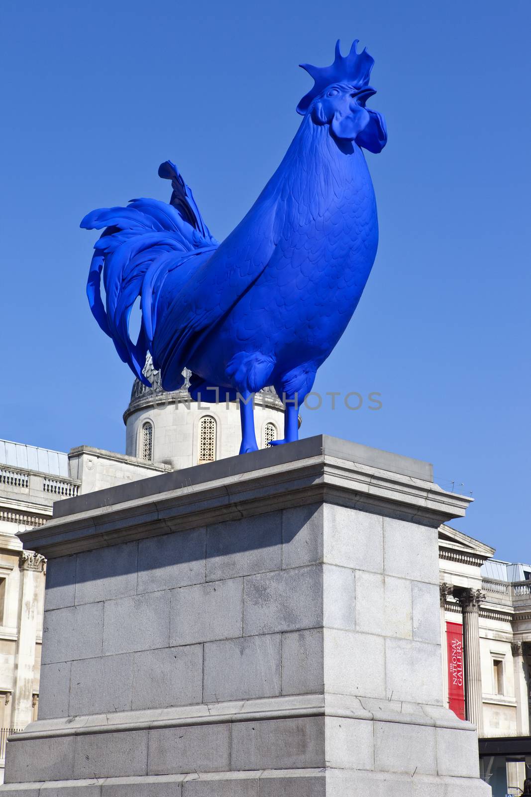 The Blue Cockerel on the fourth plinth in Trafalgar Square in London. 