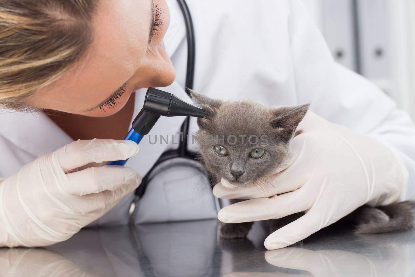 Female vet examining ear of kitten through otoscope in hospital
