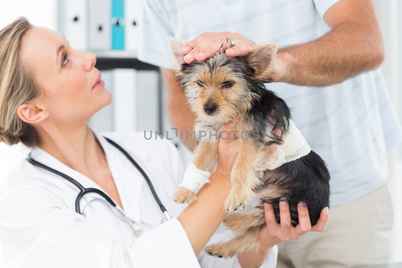 Male owner with puppy visiting female veterinarian in clinic