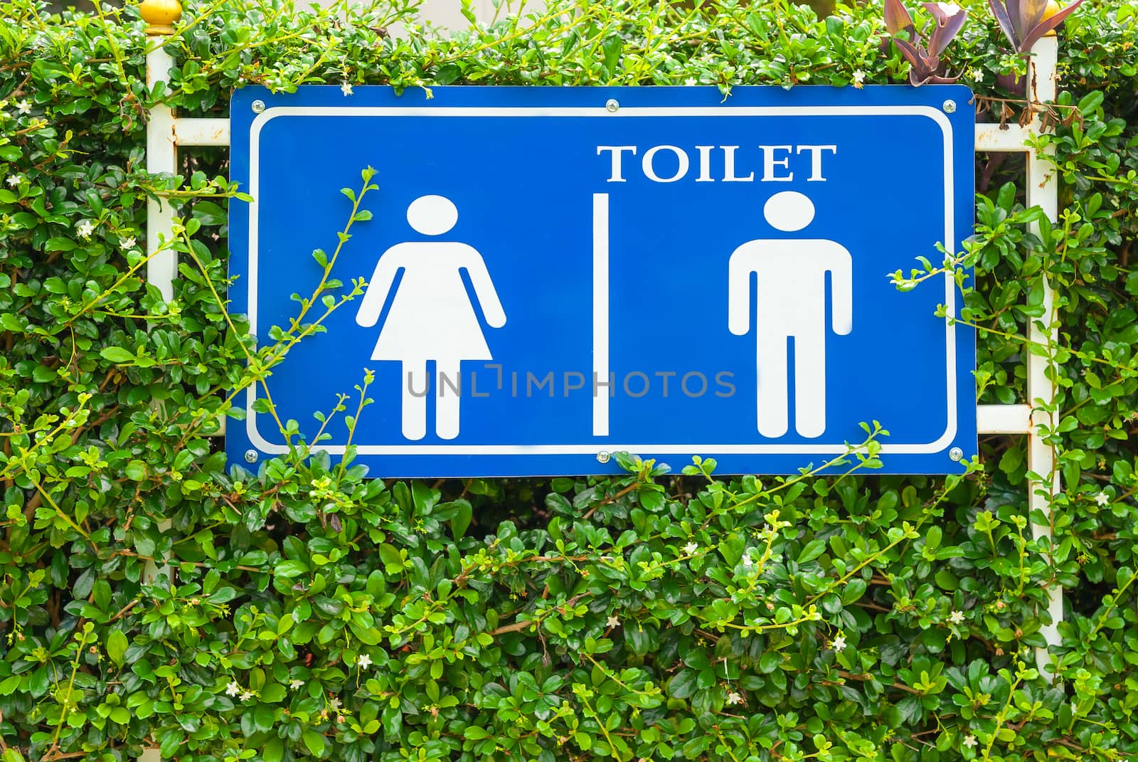 restroom sign by seksan44
