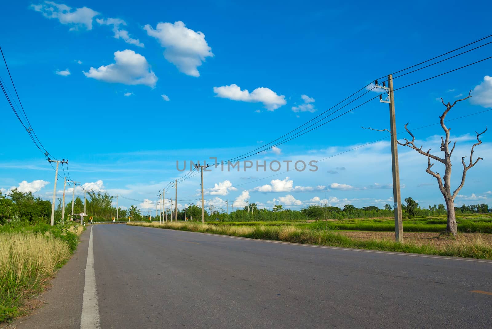 asphalt road through the green field and clouds on blue sky.