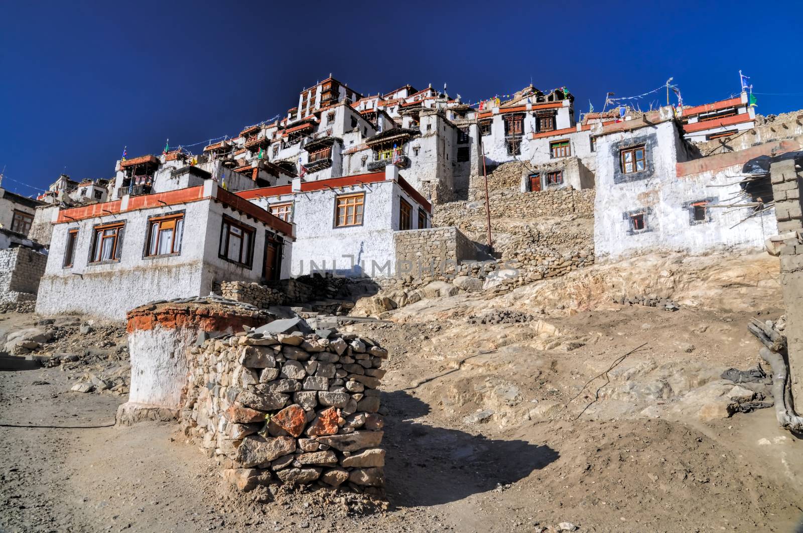 Picturesque view of shrines and temples of Chemrey monastery in Ladakh