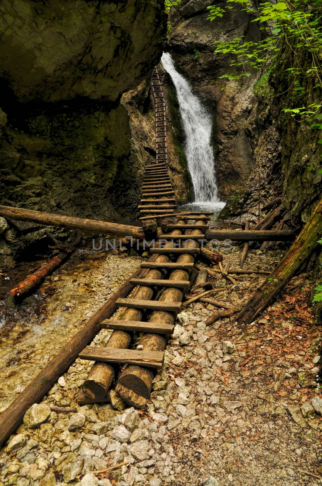 Picturesque view of a waterfall and wooden ladders in Slovak Paradise National Park