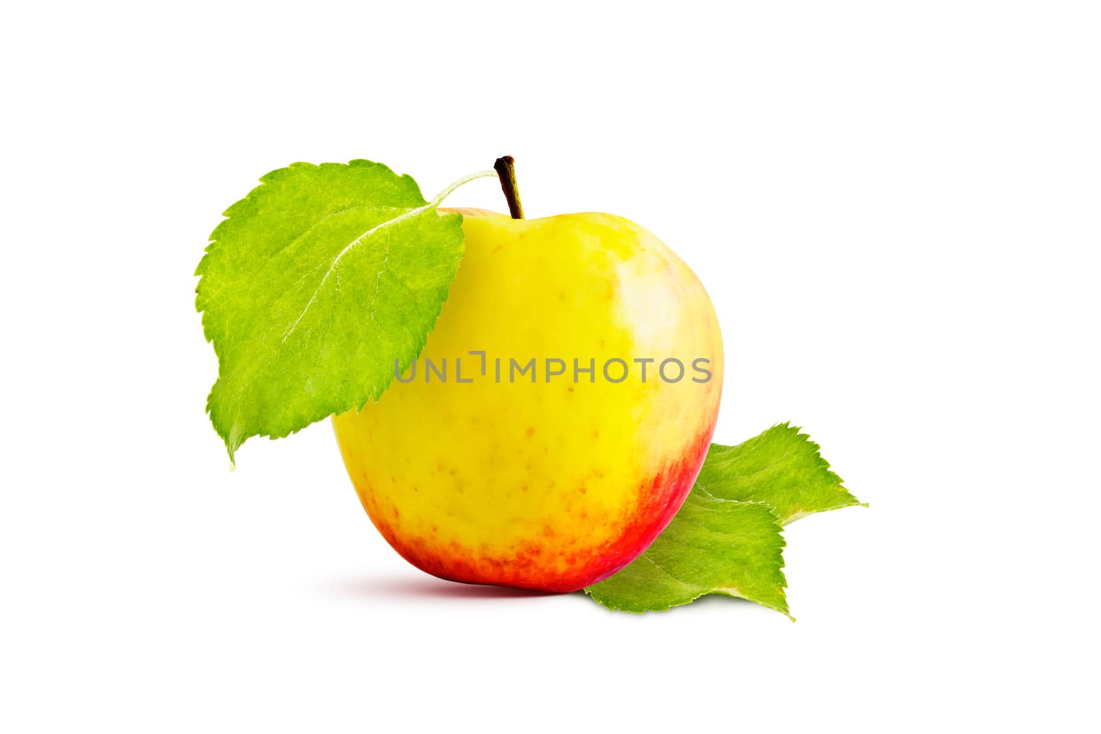 Ripe red and yellow apple and green leaves on a white background