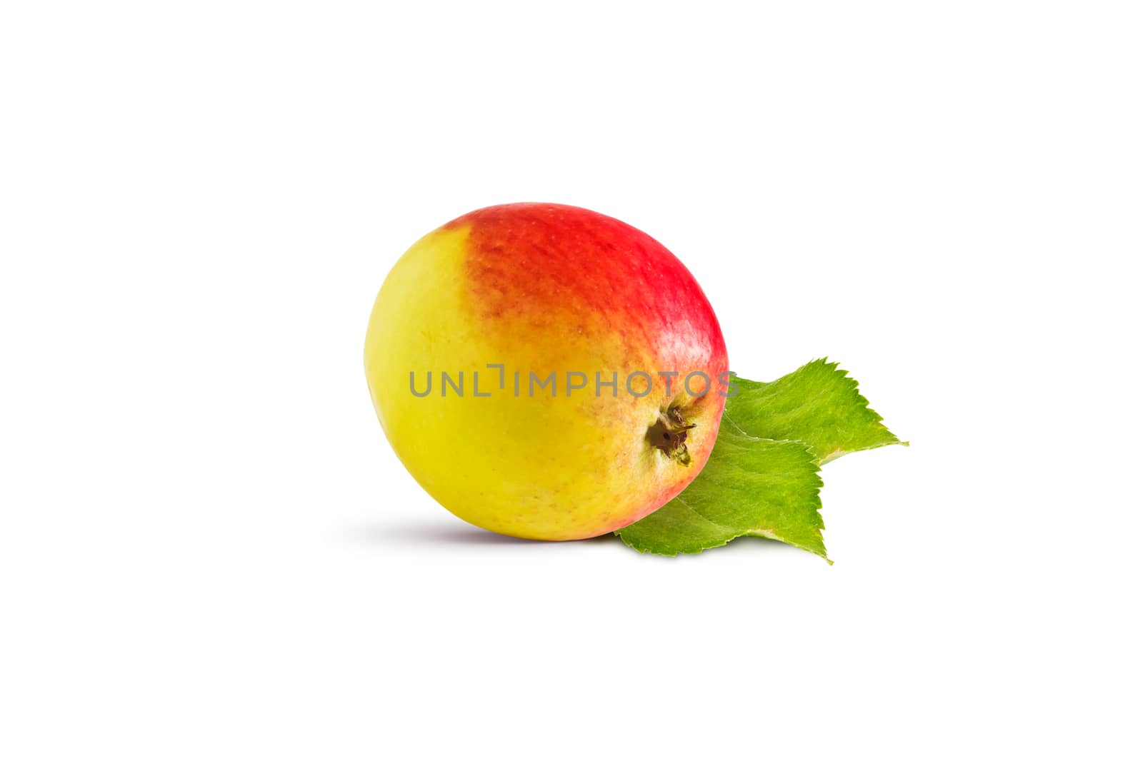 Ripe red and yellow apple and green leaves on a white background