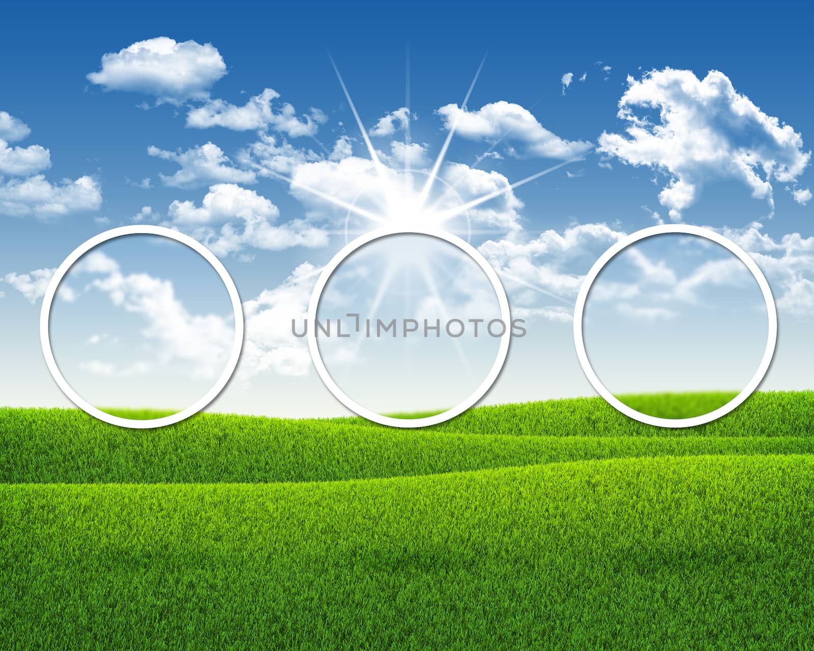 Three white circles. Green grass and blue sky as backdrop
