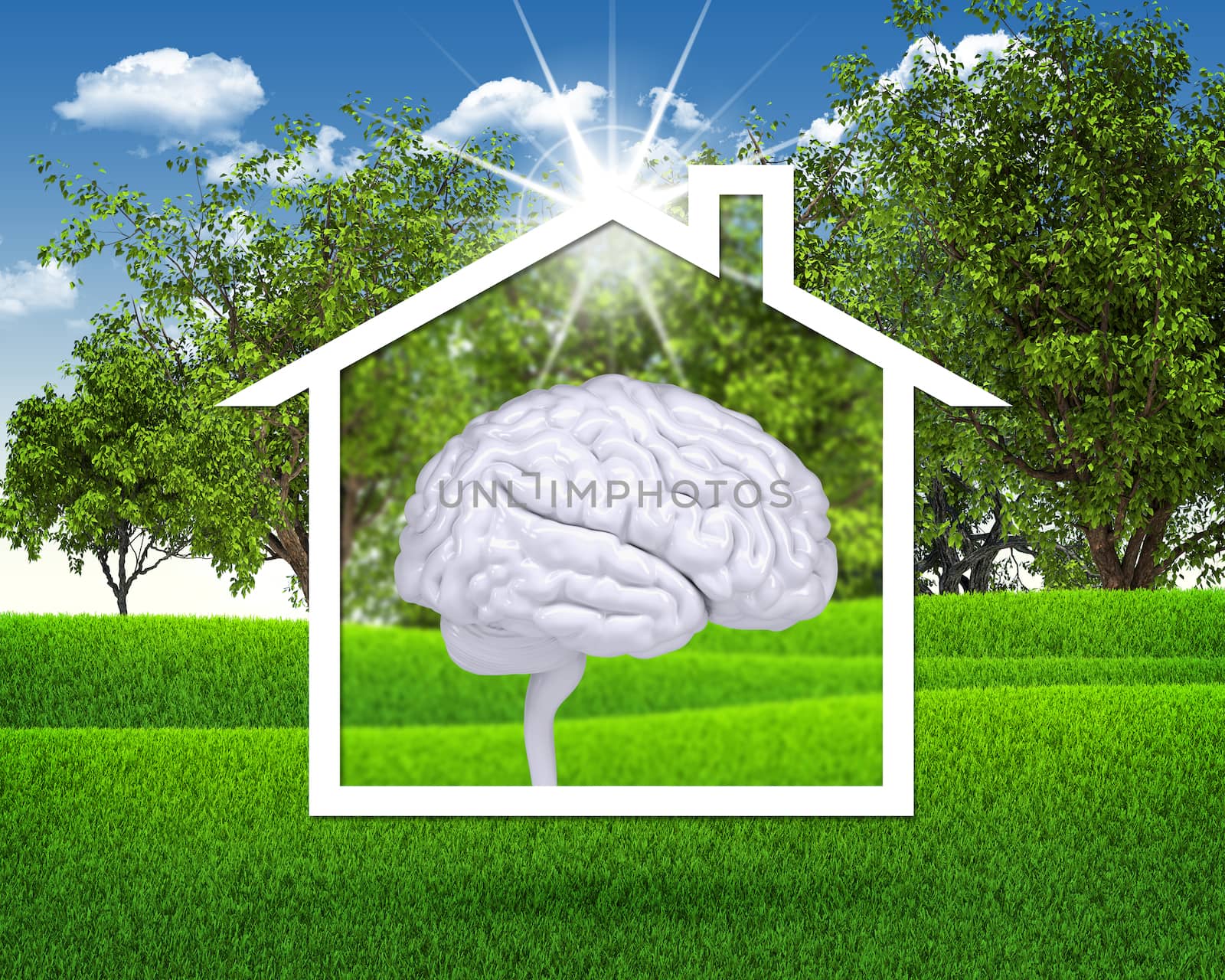 House icon with white brain. Green grass and blue sky as backdrop