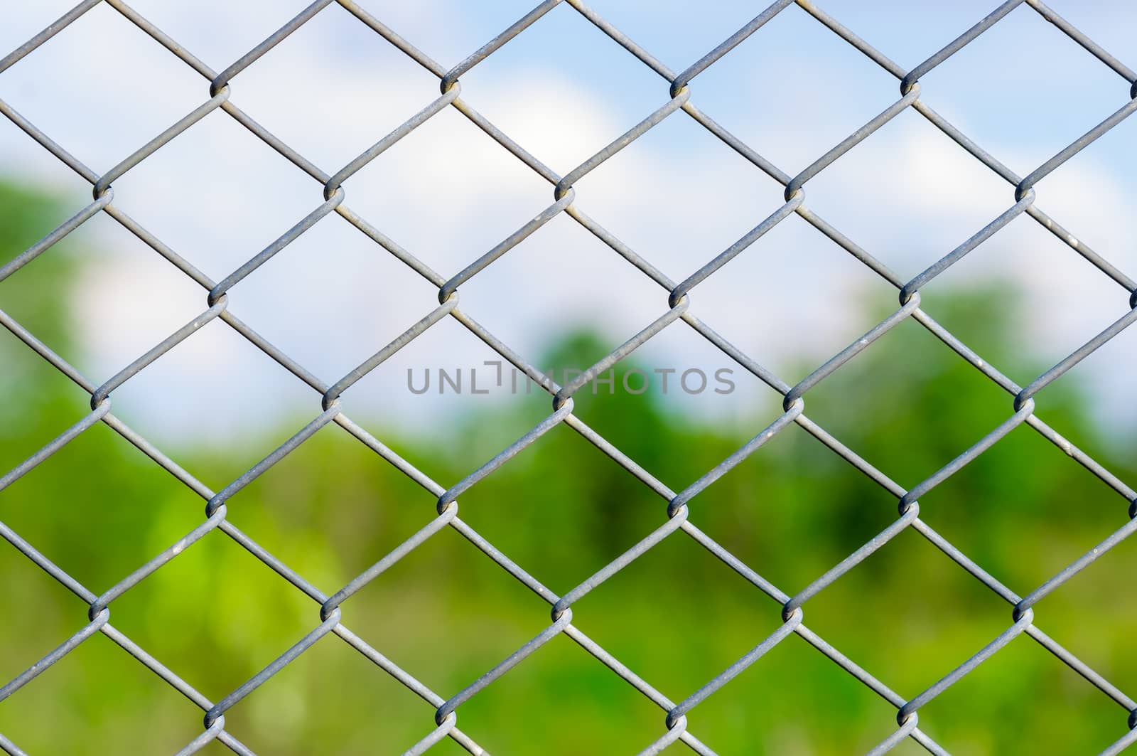Metal mesh wire fence with blur green background