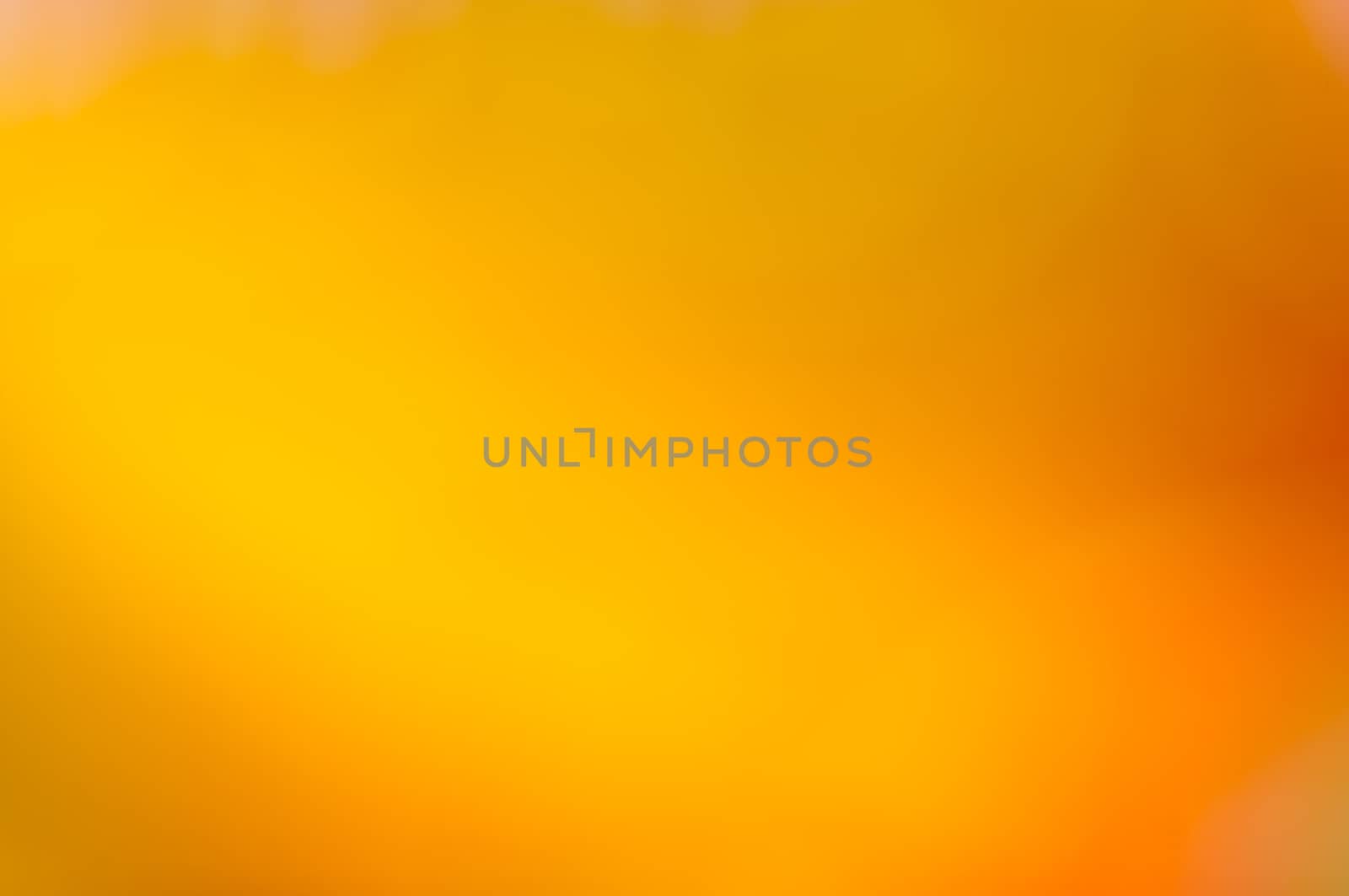 Gold yellow orange bokeh  and blur background