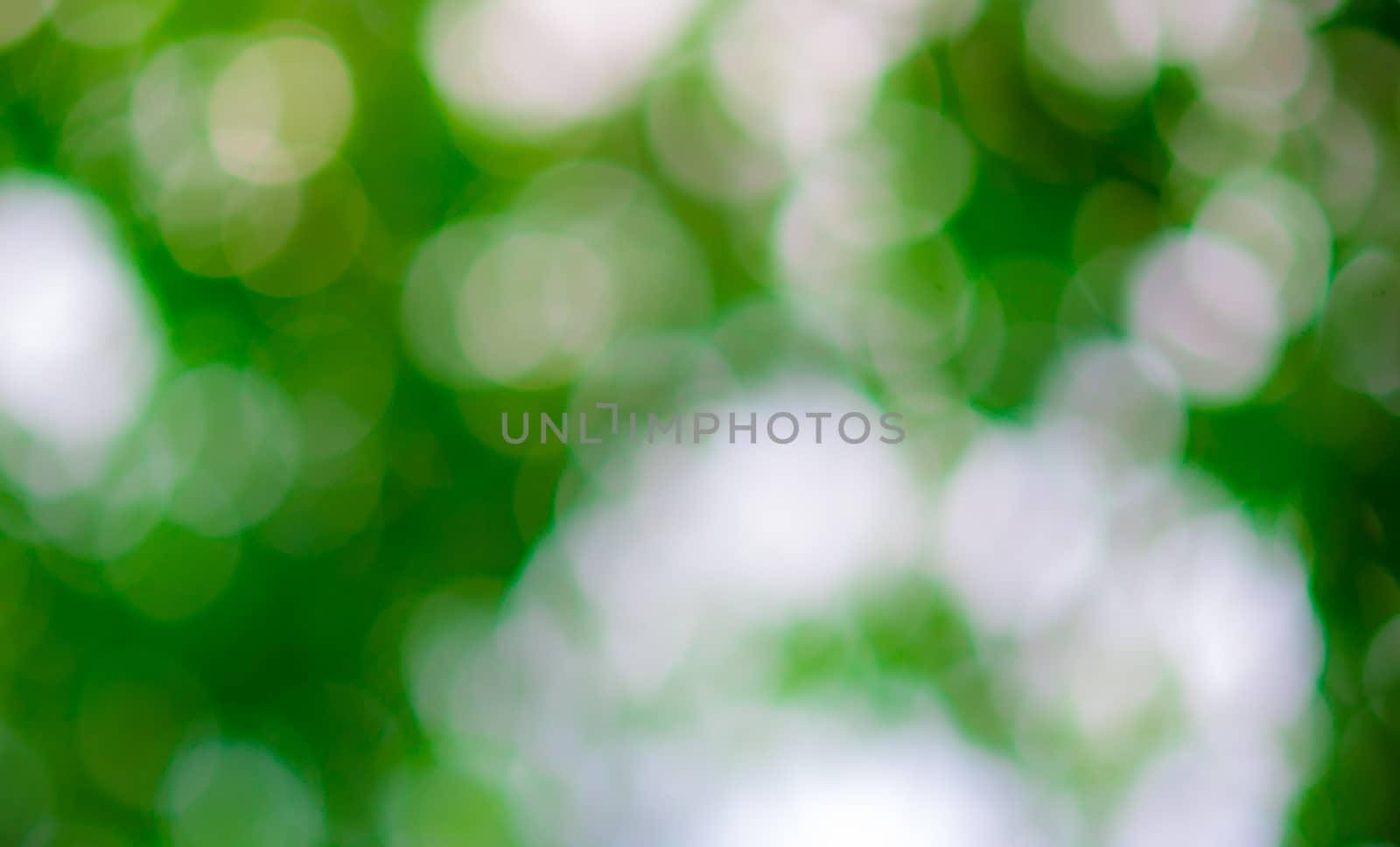 Green bokeh and blur background