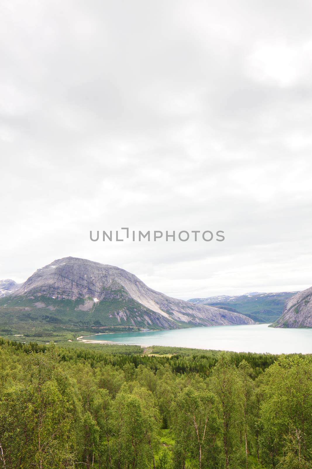 Northern  Norway landscape with fjord, mountains and forest