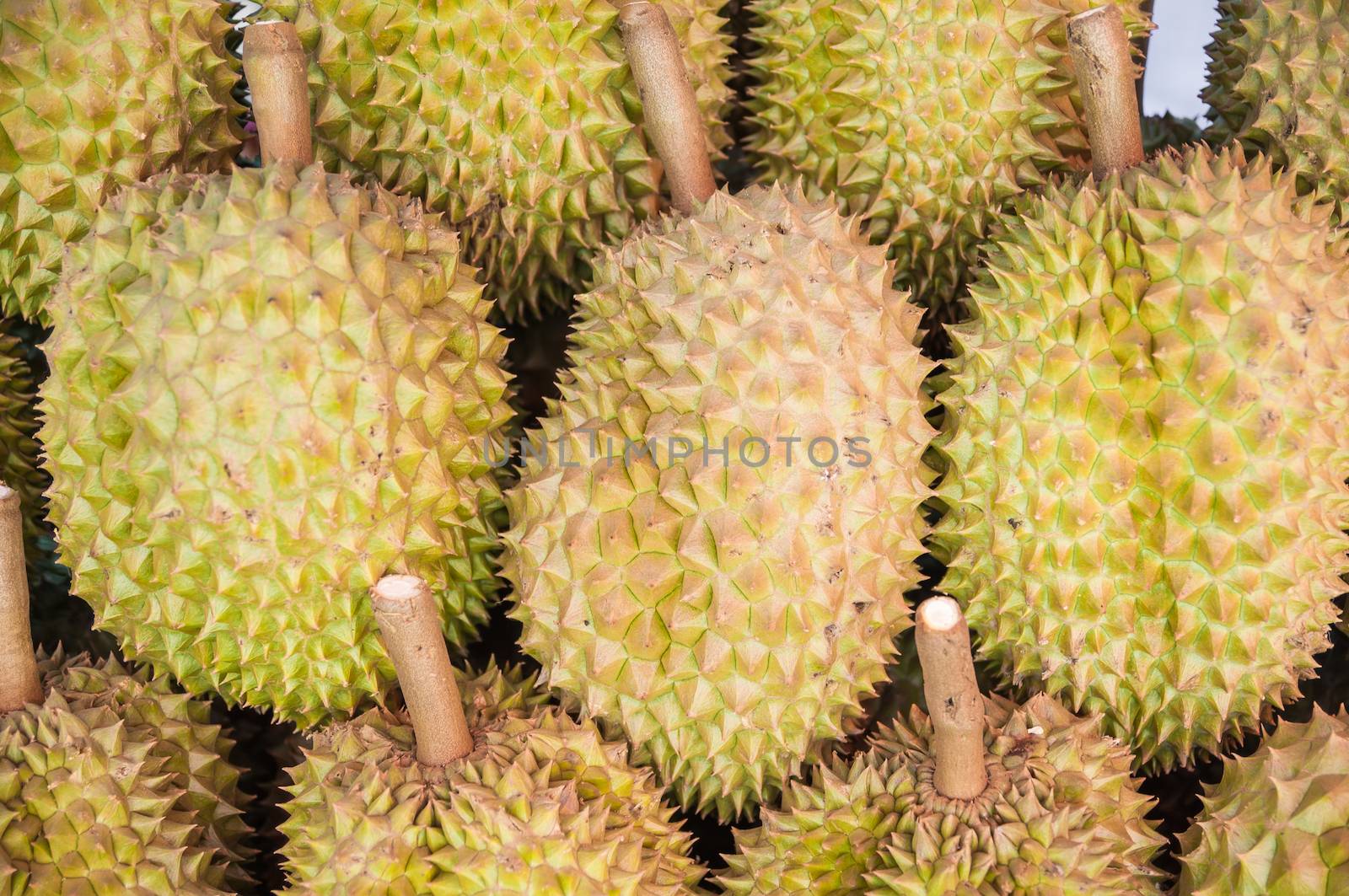 Durian fruits by seksan44