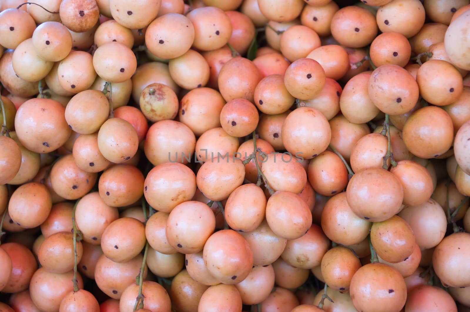 Baccaurea ramiflora fruits in the market