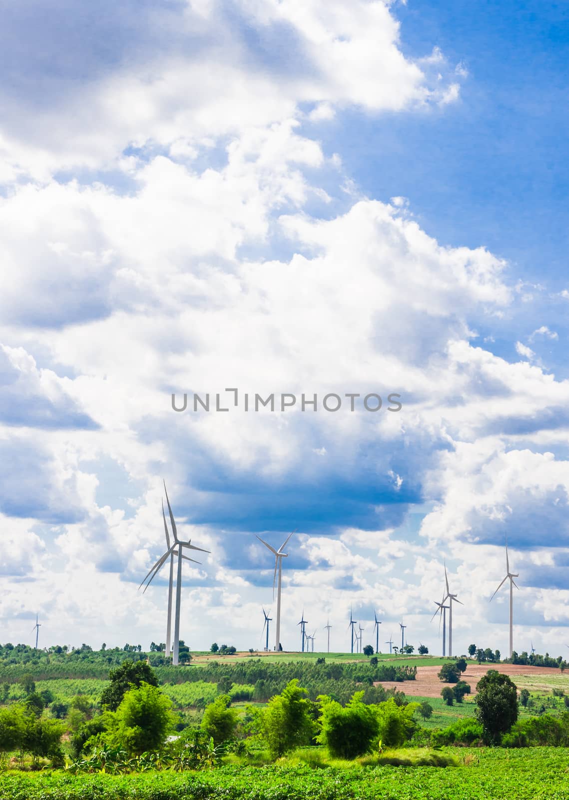 windmills by seksan44