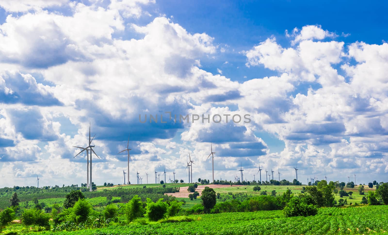 windmills by seksan44