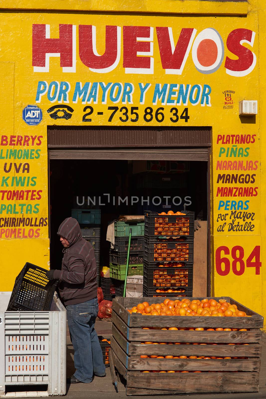 Fresh oranges arriving at the historic Central Market (La Vega) in Santiago, capital of Chile