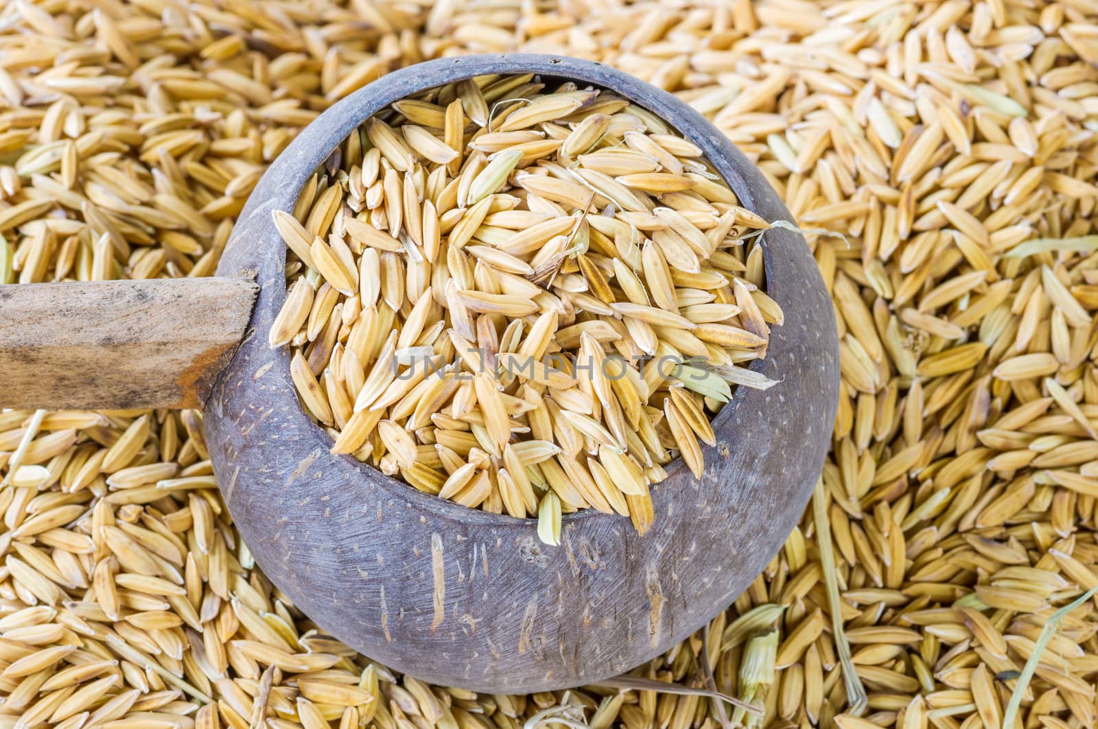 Thai  jasmine rice in a wood bowl.