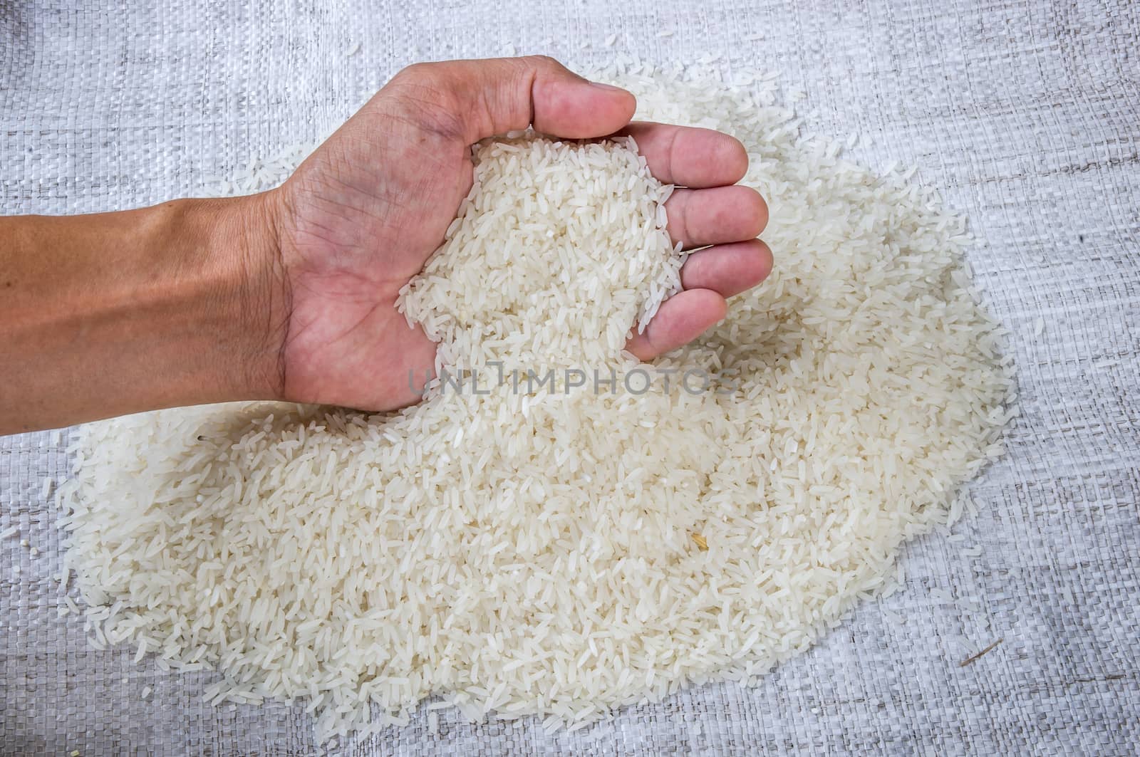Thai jasmine rice on hand