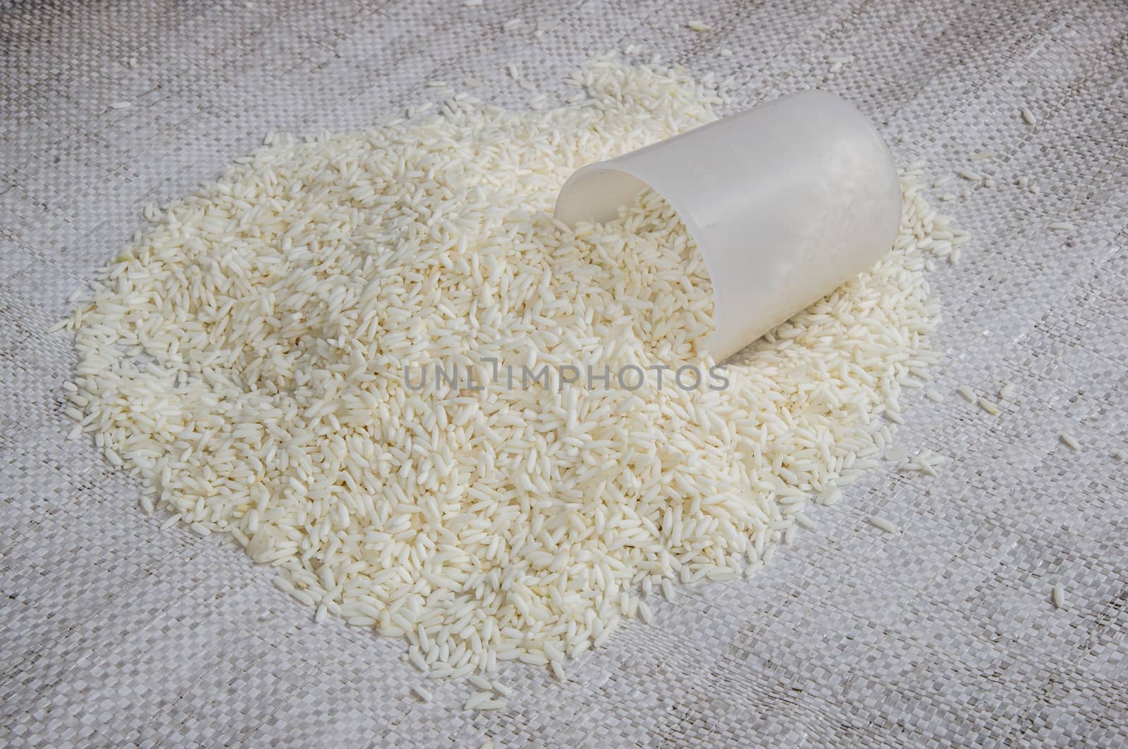 Rice by seksan44