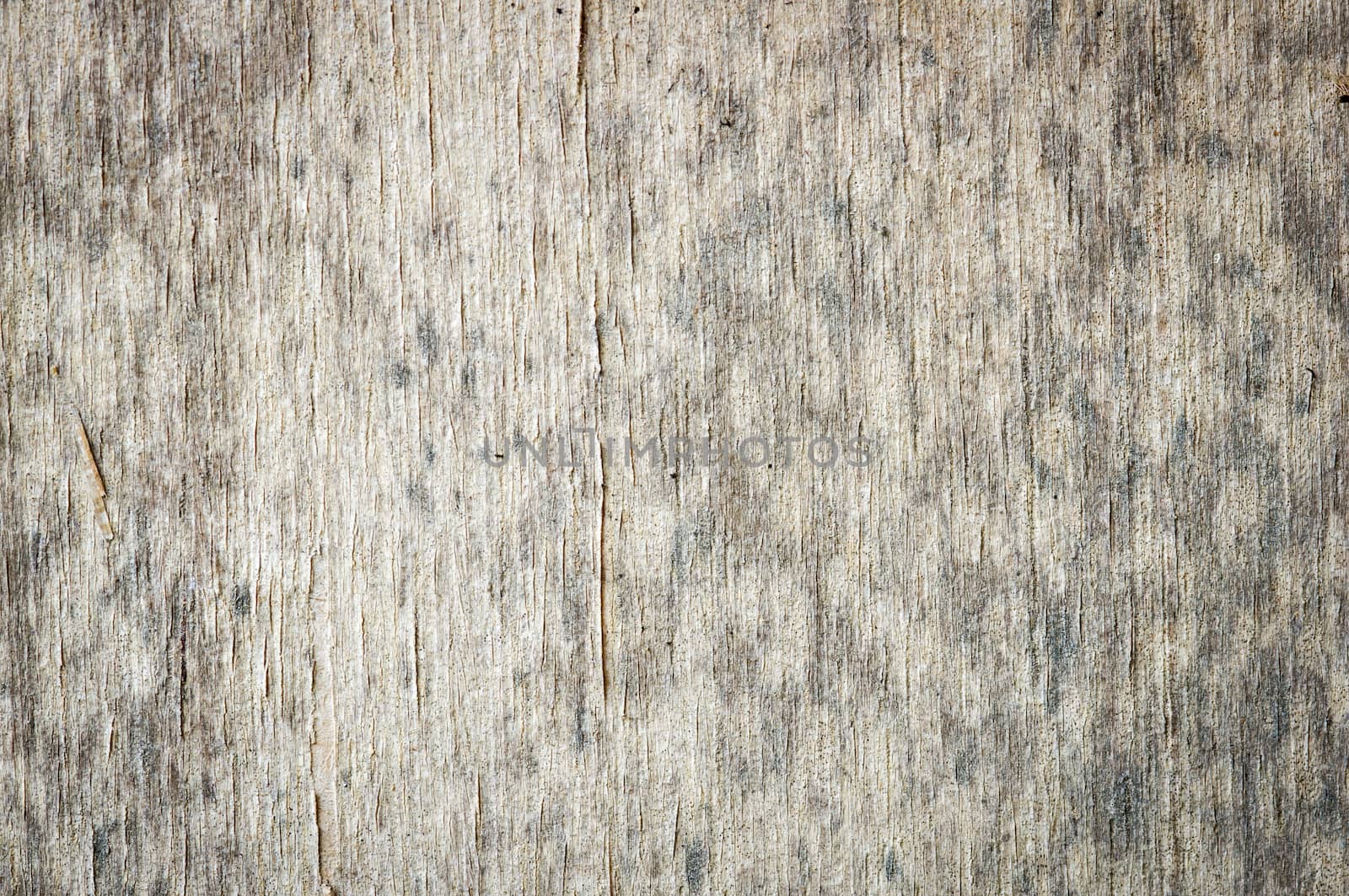 wood texture by seksan44