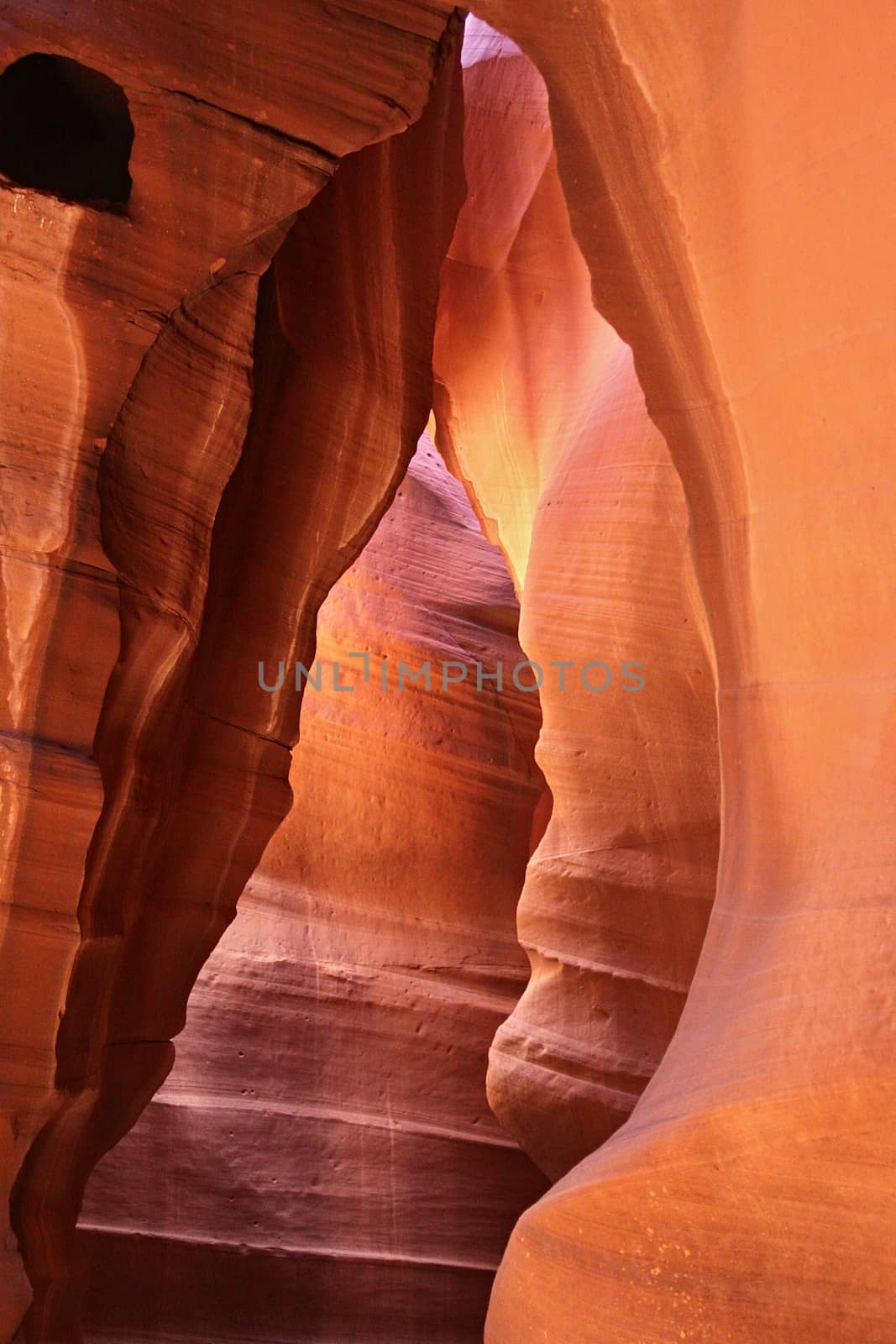 Sandstone wave structure in Antelope Canyon  by jnerad