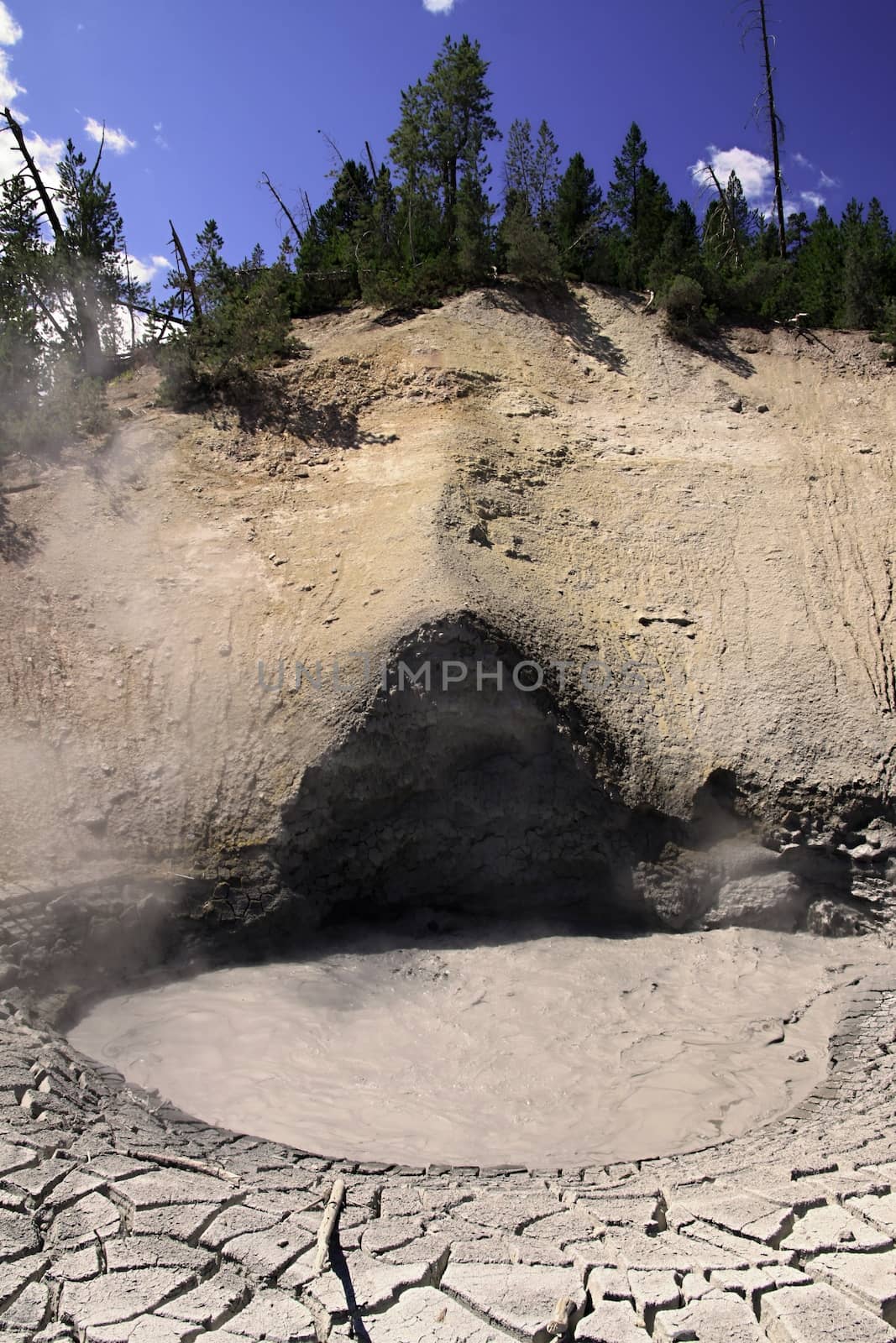 Mud volcano  in Yellowstone national park 