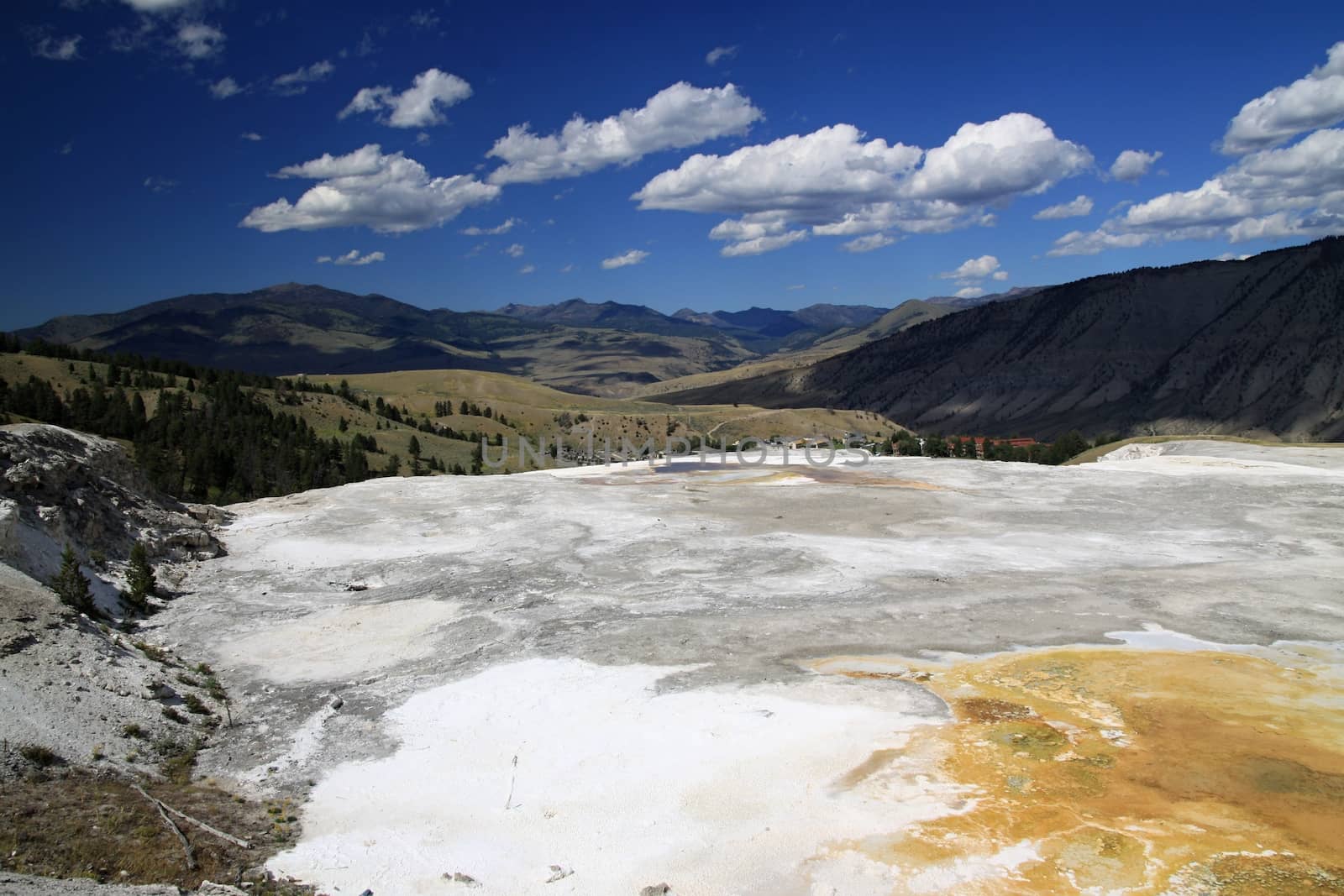 Yellowstone, Mammoth hot springs Terraces 