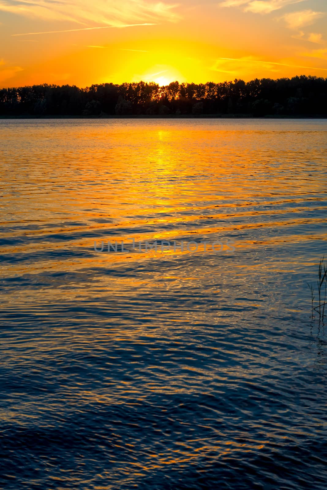 ripples of the lake and the setting sun