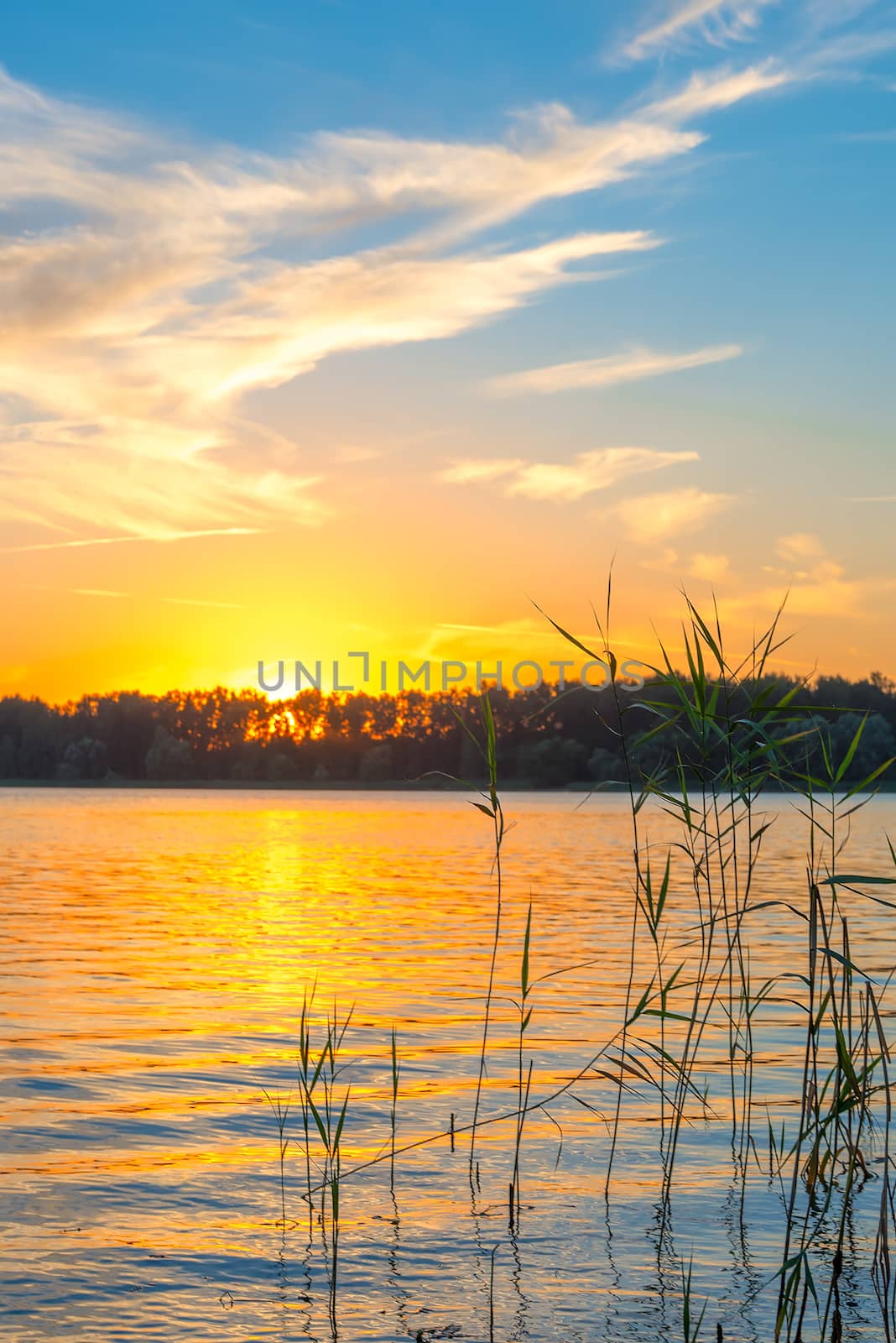 golden sunset over the lake and the beautiful sky