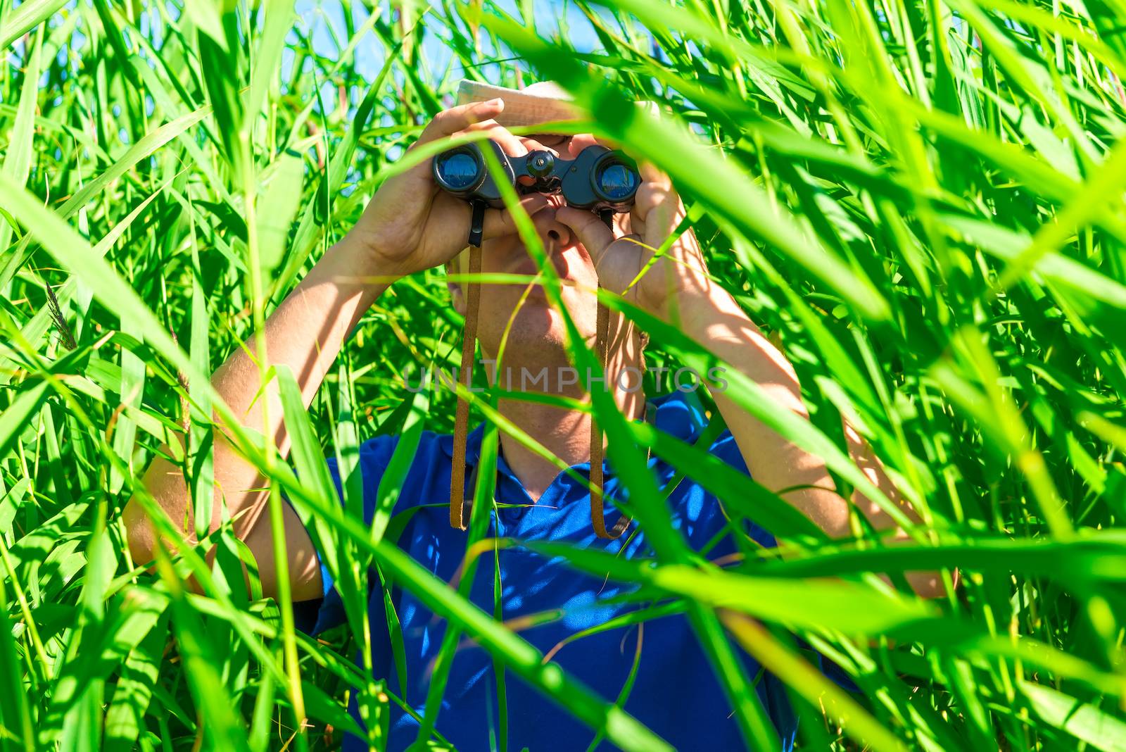 tucked away in the reeds hunter in ambush