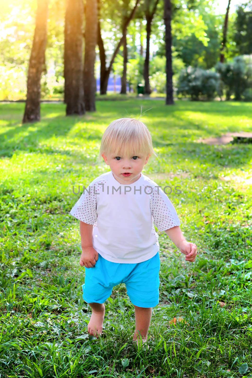 Baby Boy walk at the Summer Park