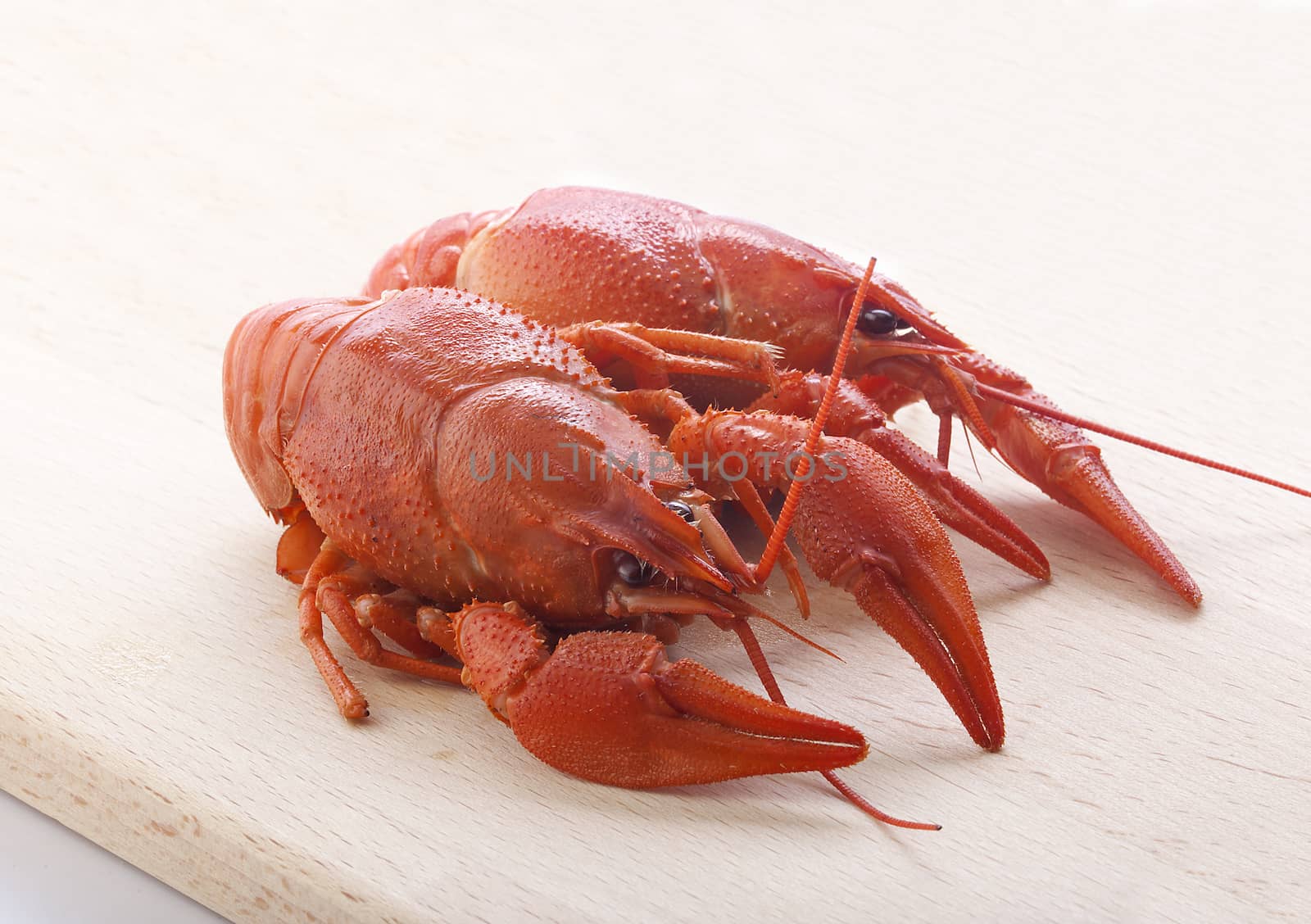 Isolated red boiled crawfish on the wooden board