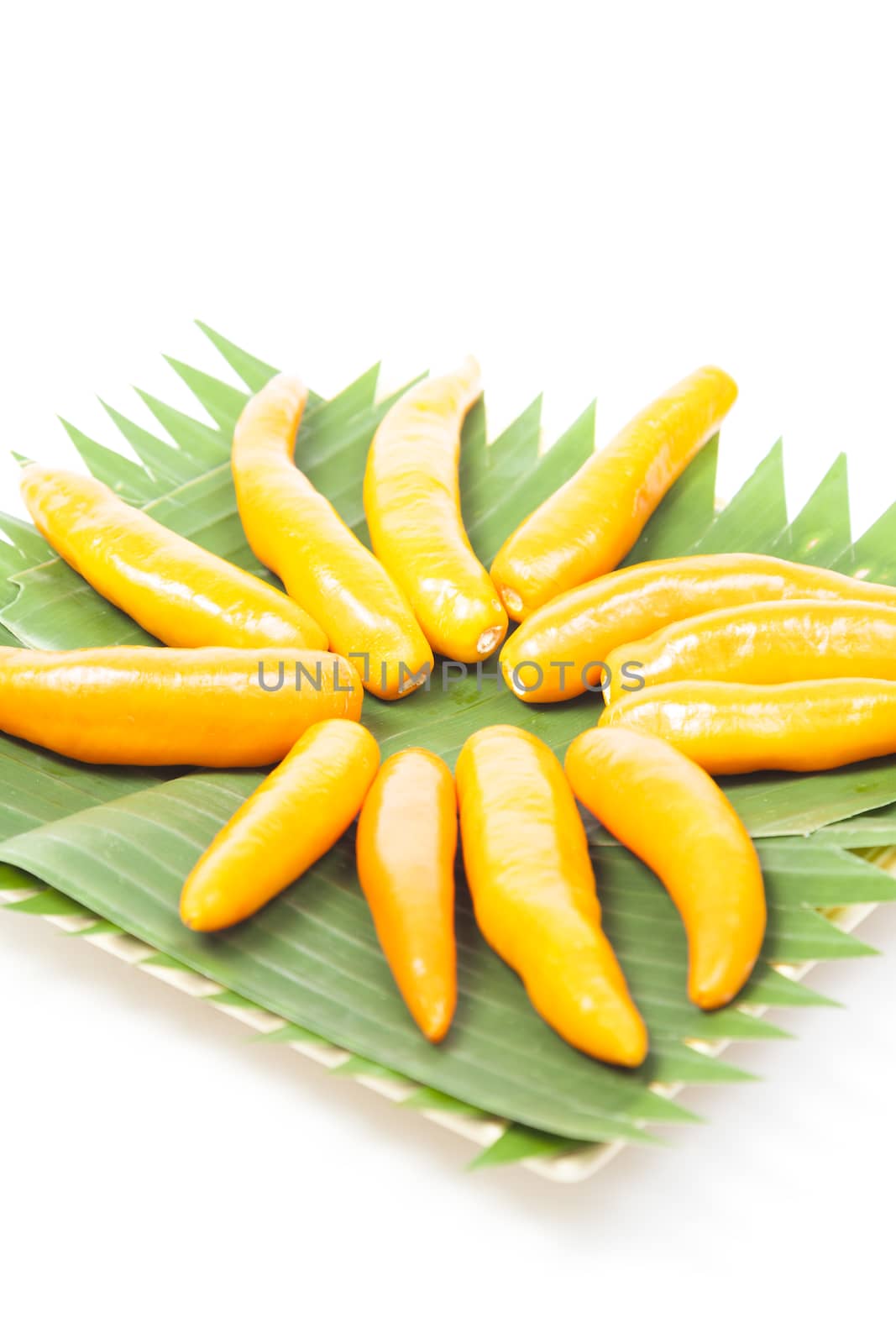 Capsicum on plate Yellow sweet peppers on a white background.