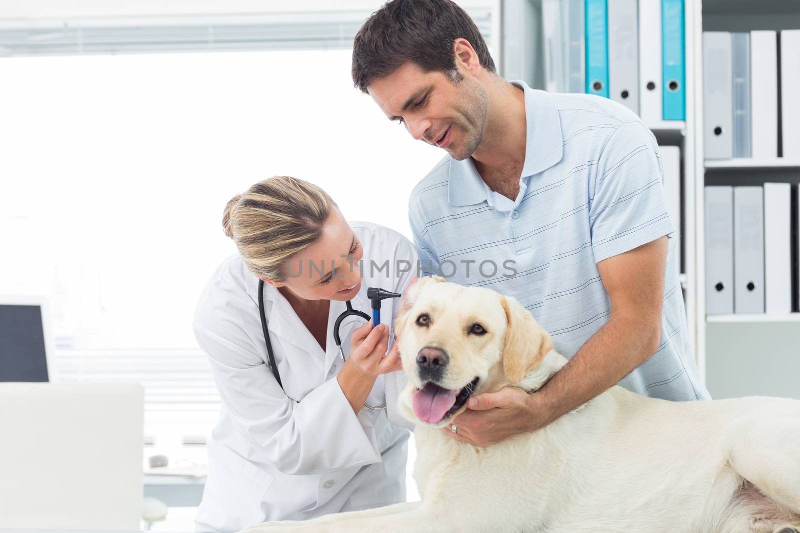 Veterinarian examining ear of dog with man by Wavebreakmedia