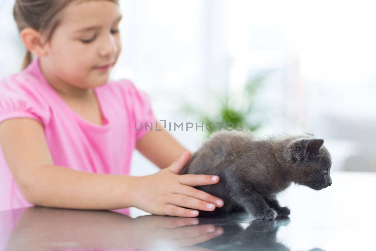 Little girl playing with kitten in vet office