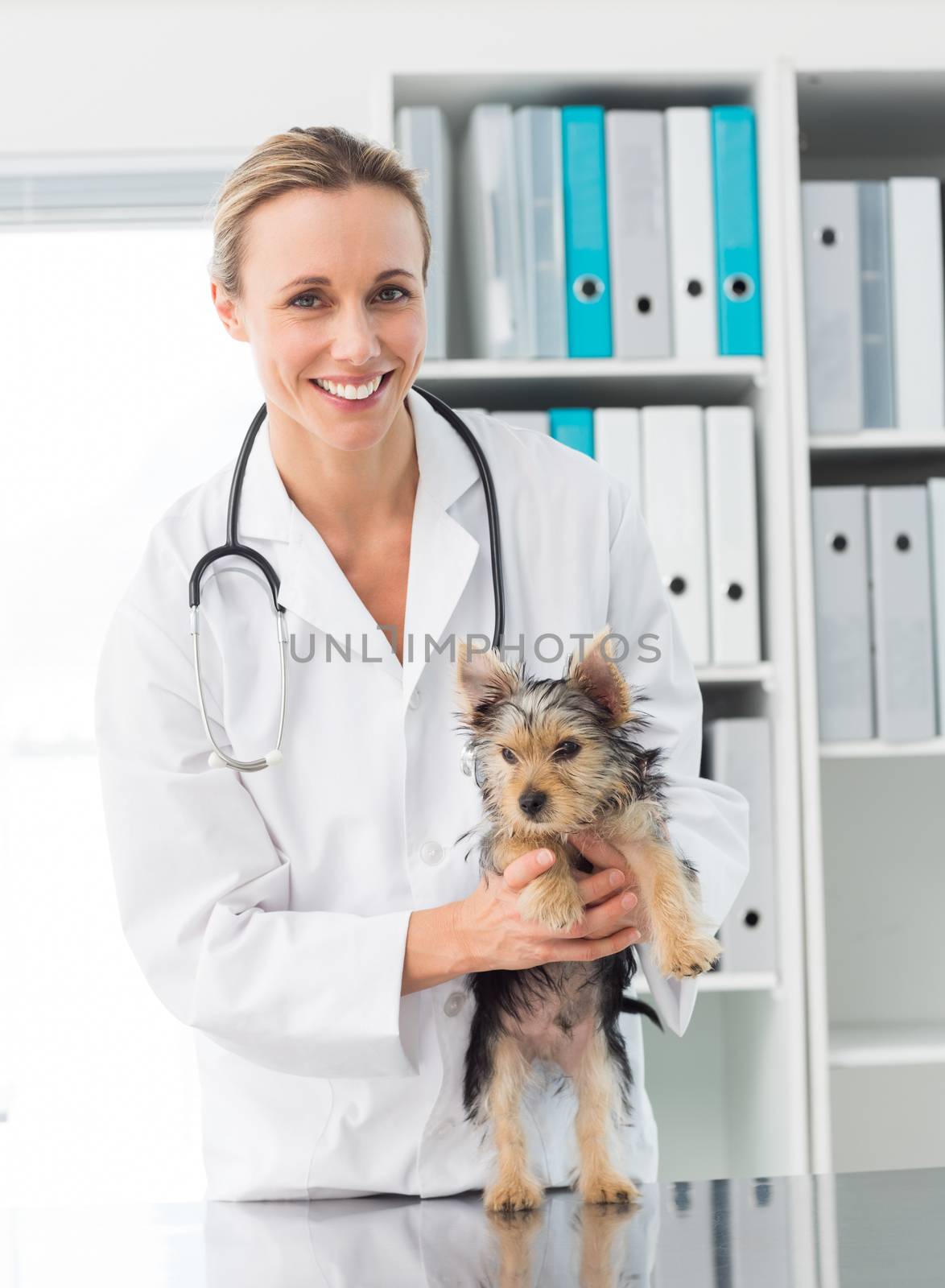 Portrait of female veterinarian holding puppy in clinic