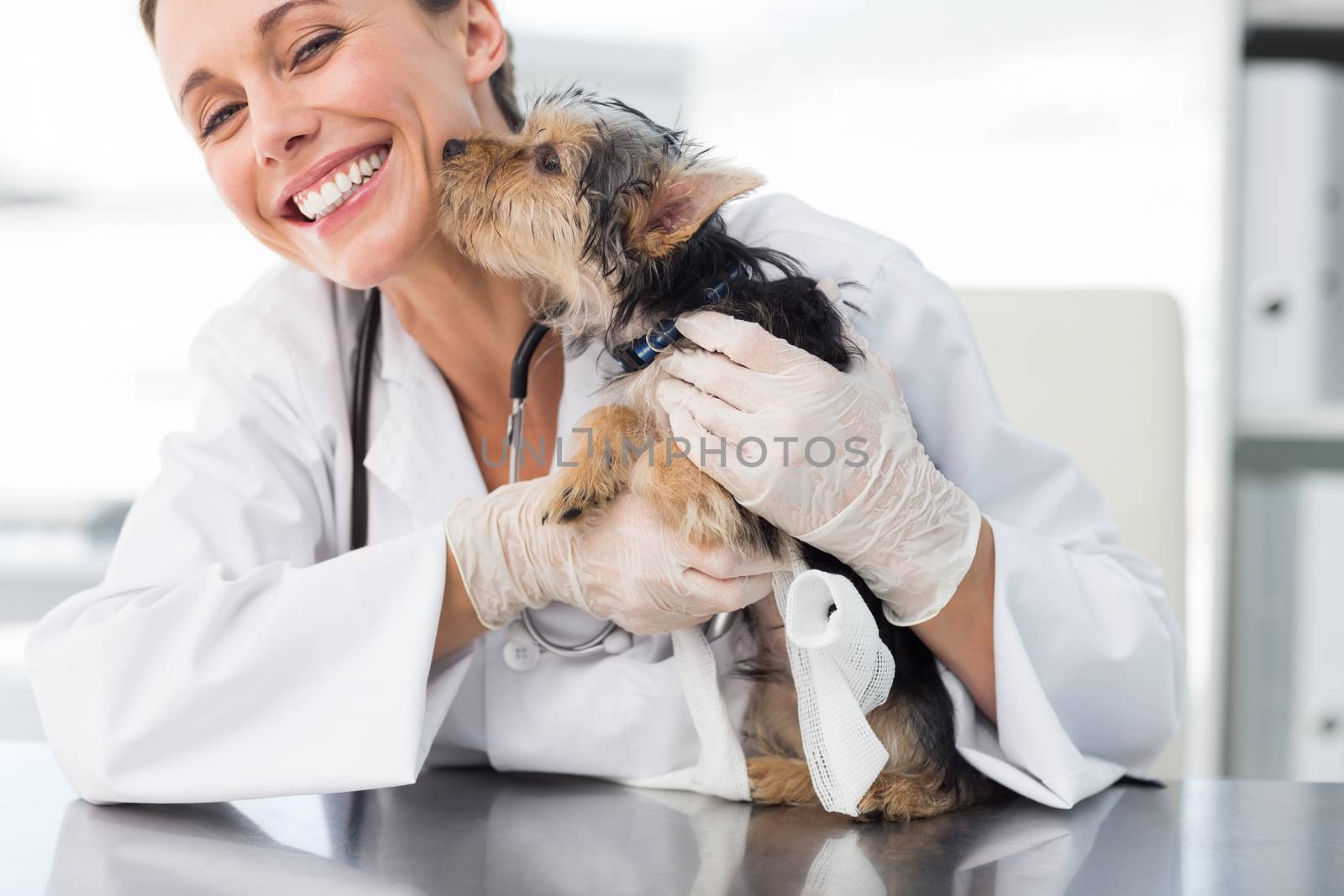 Cute puppy kissing female vet in clinic