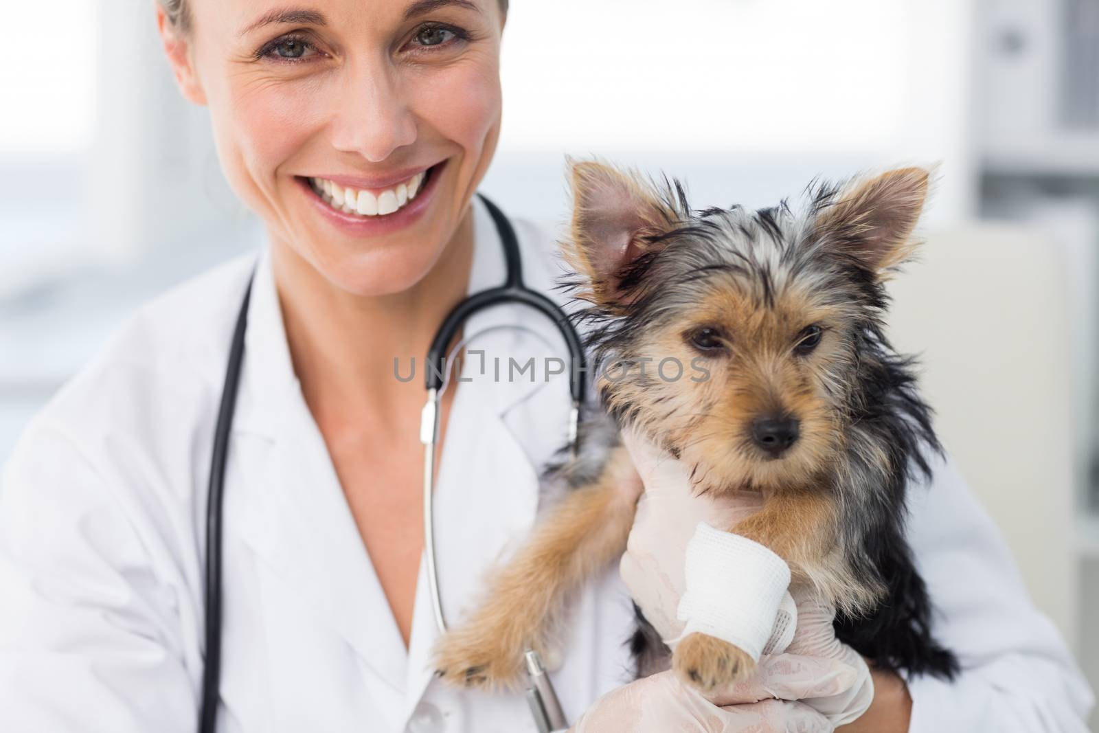 Smiling female vet holding cute puppy by Wavebreakmedia