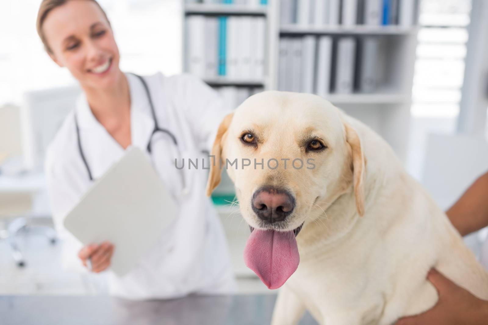 Closeup of dog with female veterinarian in clinic