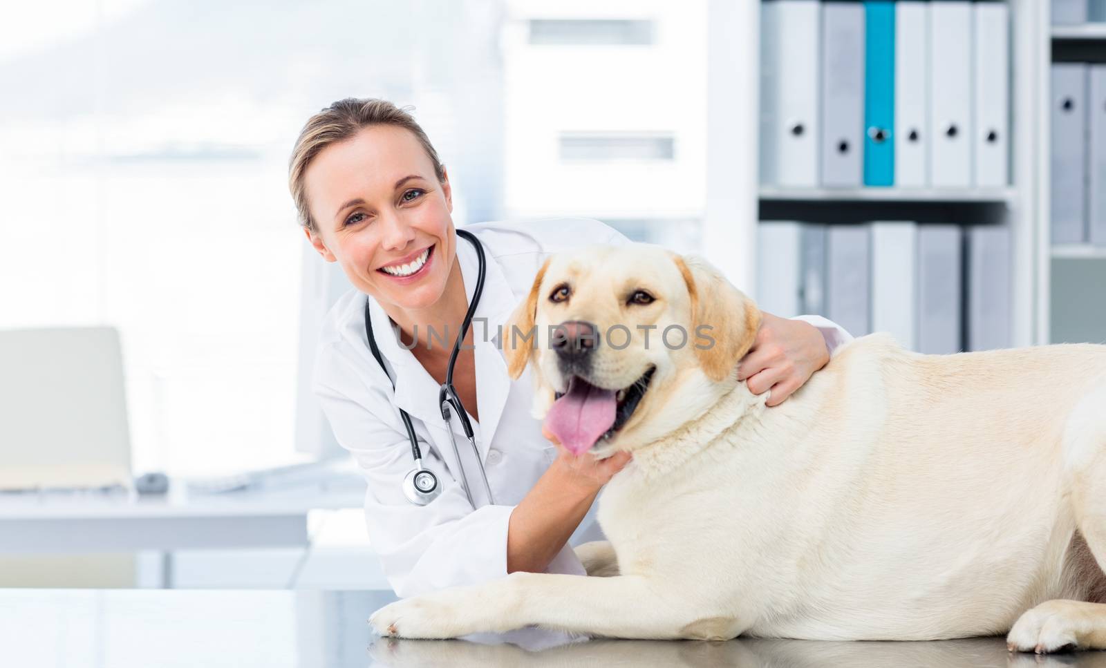 Female veterinarian examining dog by Wavebreakmedia