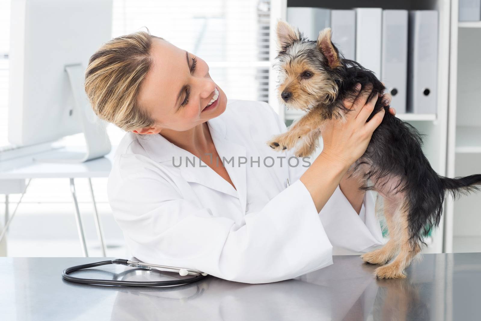 Veterinarian examining dog by Wavebreakmedia