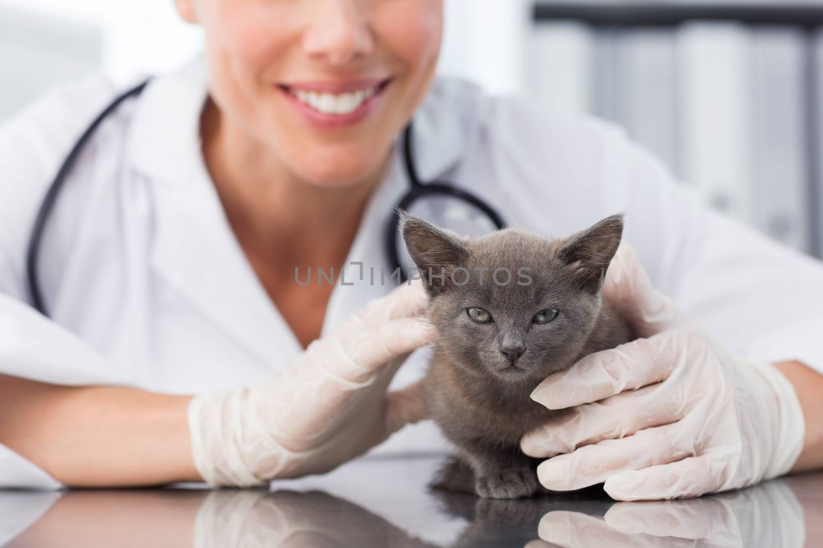 Female vet examining cute kitten by Wavebreakmedia